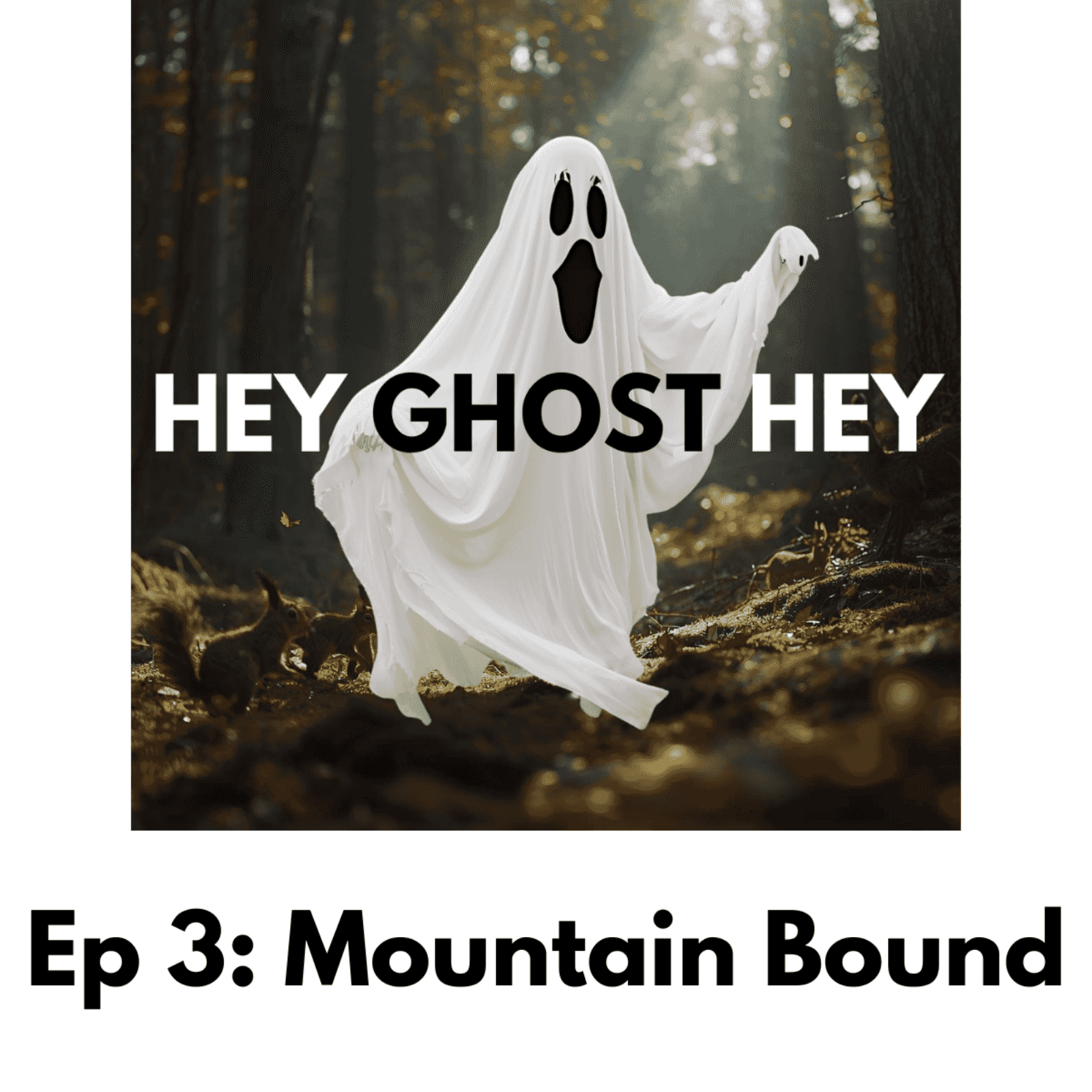 https://media.rss.com/hey-ghost-hey/ep_cover_20251111_081158_50bd6c21e53b782a22c7396742f22240.png