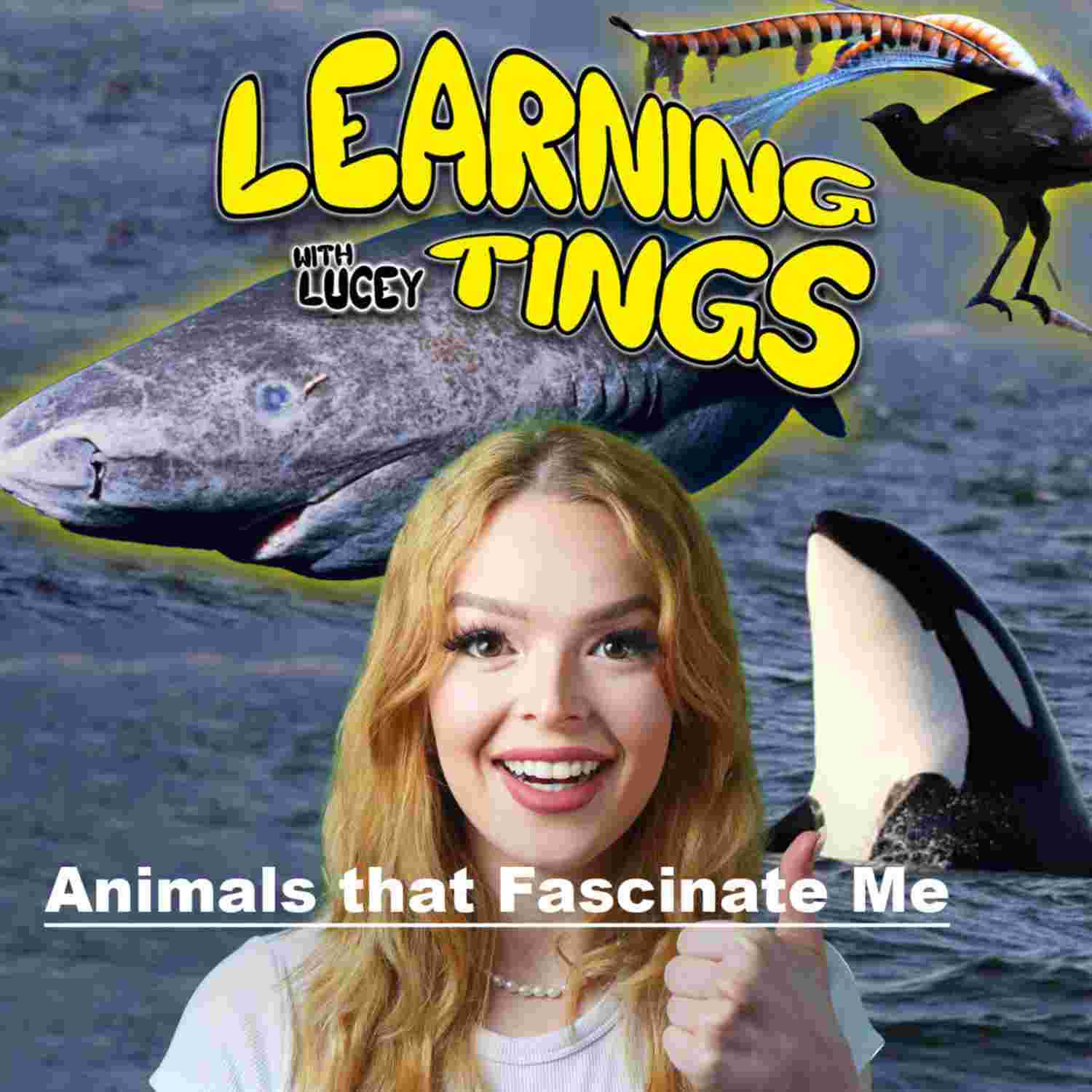 https://media.rss.com/learningtings/ep_cover_20231010_011051_91c61057e505d21468632079fdc77313.jpg