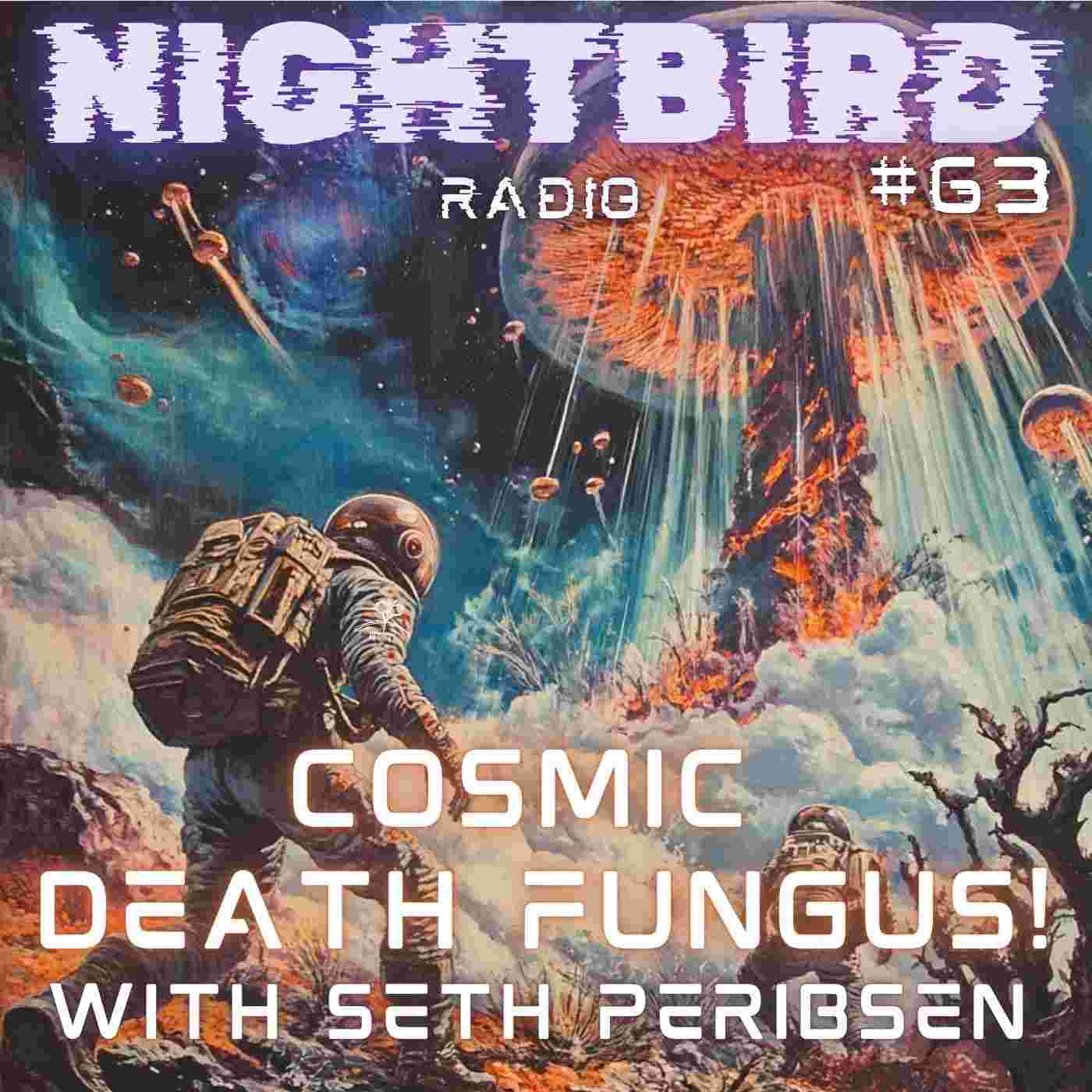 https://media.rss.com/nightbirdradio/ep_cover_20240925_050947_462a578a9c6694fa1ee8c35db0b9e400.jpg