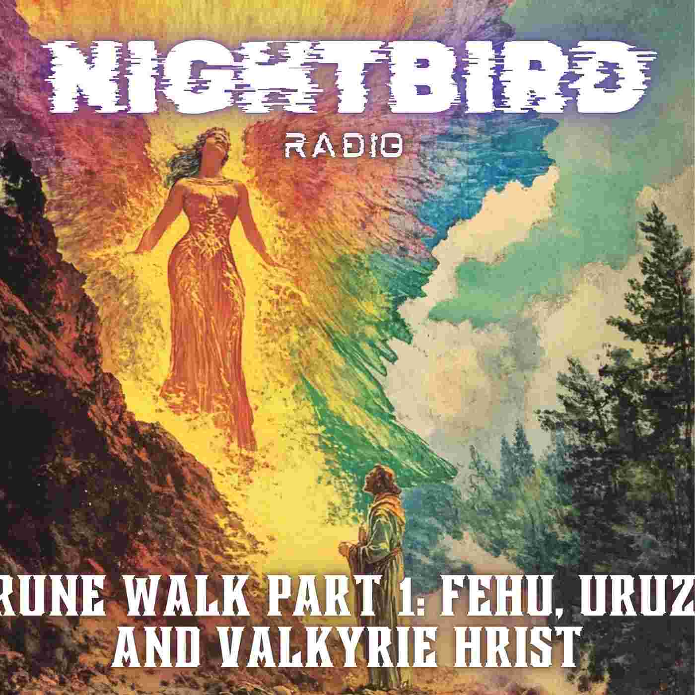 https://media.rss.com/nightbirdradio/ep_cover_20250608_030649_e1936b413426264b14b13329761ce204.jpg