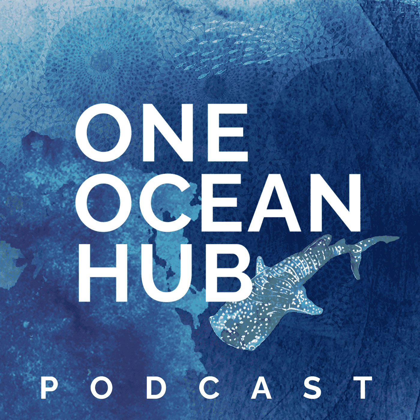 https://media.rss.com/one-ocean-hub/ep_cover_20240308_010312_58e07dcef2ca6d5643c7b9f78f47315e.png