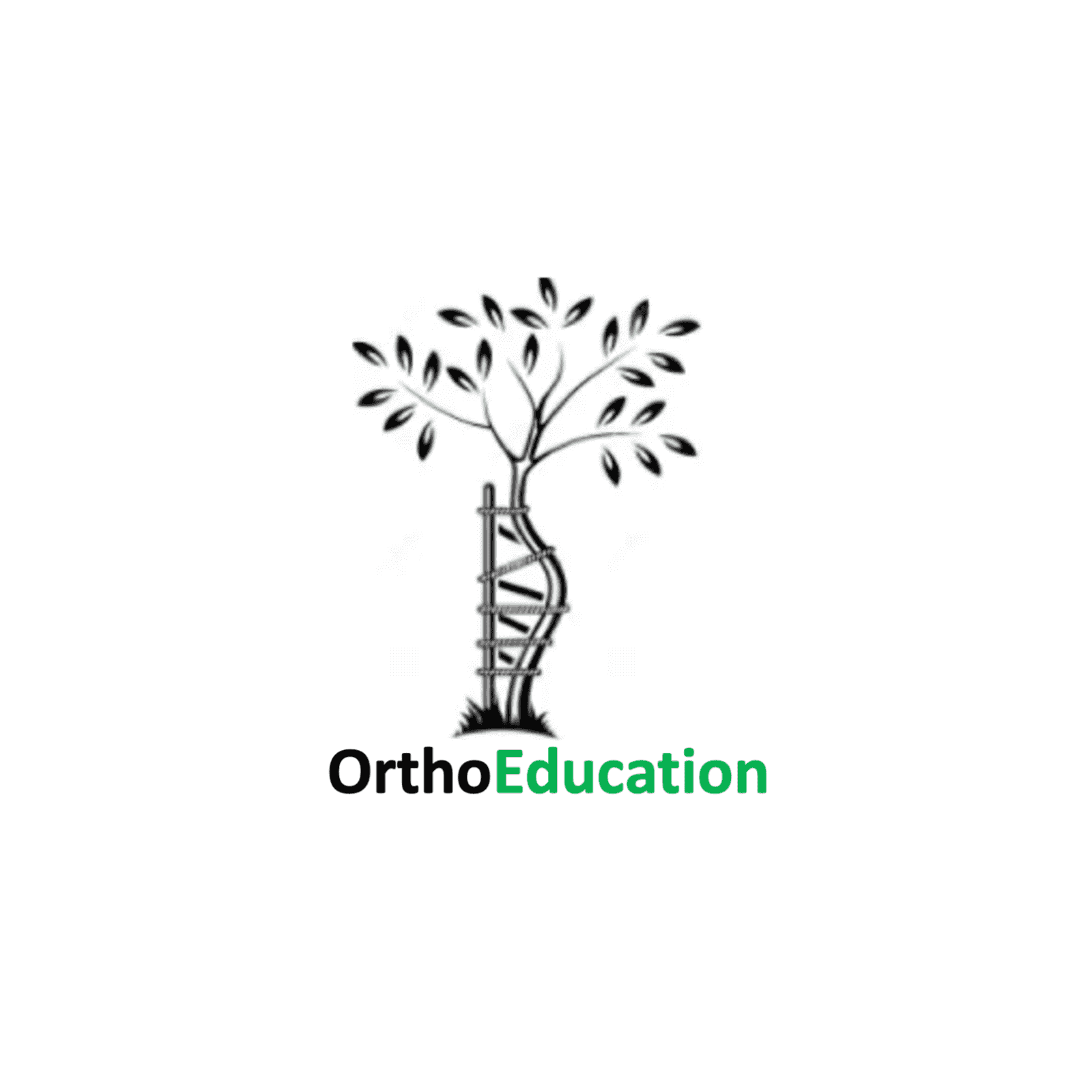 https://media.rss.com/orthoeducation/ep_cover_20250826_060839_d469ae9eed96cb467a6c75e8fa97449b.png