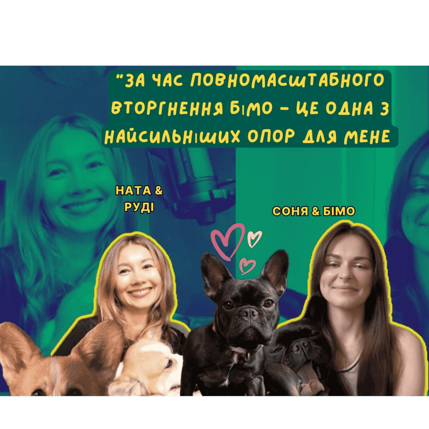 https://media.rss.com/petstalk/ep_cover_20240726_100751_808491f49f6445f043ac030feaf9c4d2.png