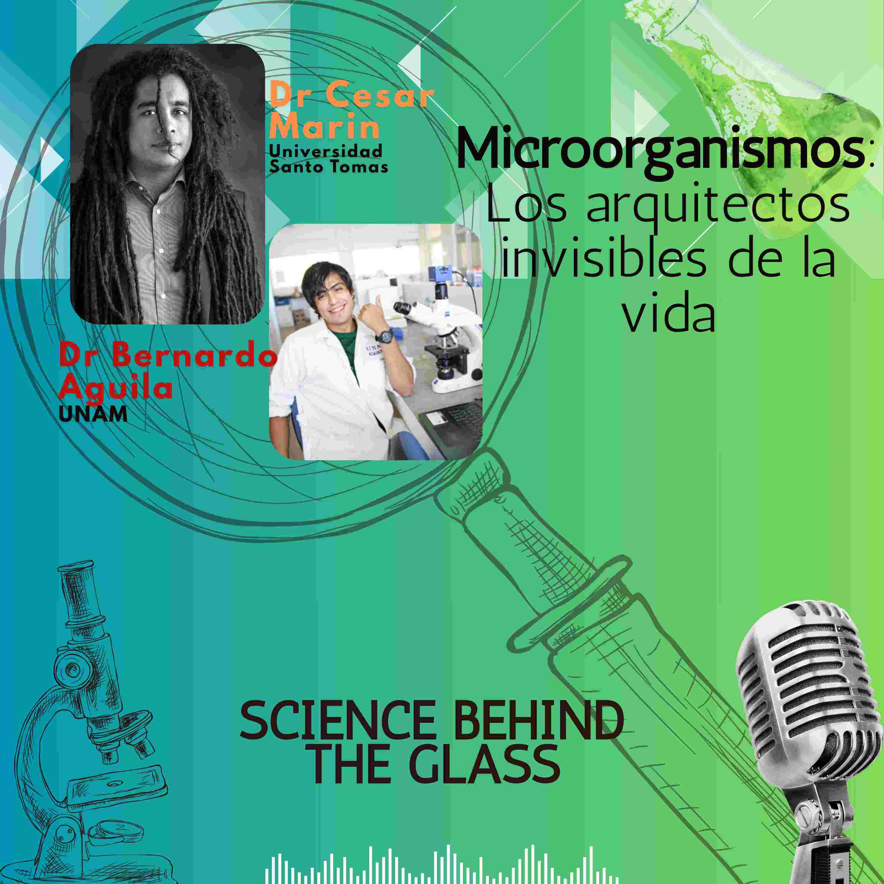 https://media.rss.com/science-behind-the-glass-podcast/cover_2feb98b90ca66e4fa2215d6d20442d79.jpg