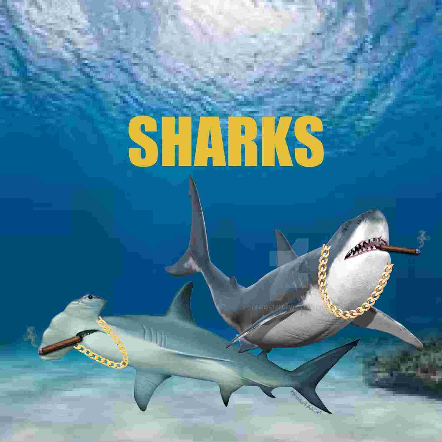 https://media.rss.com/sharks/ep_cover_20221208_061219_621f8461f57636630dd61f269c5809d2.jpg