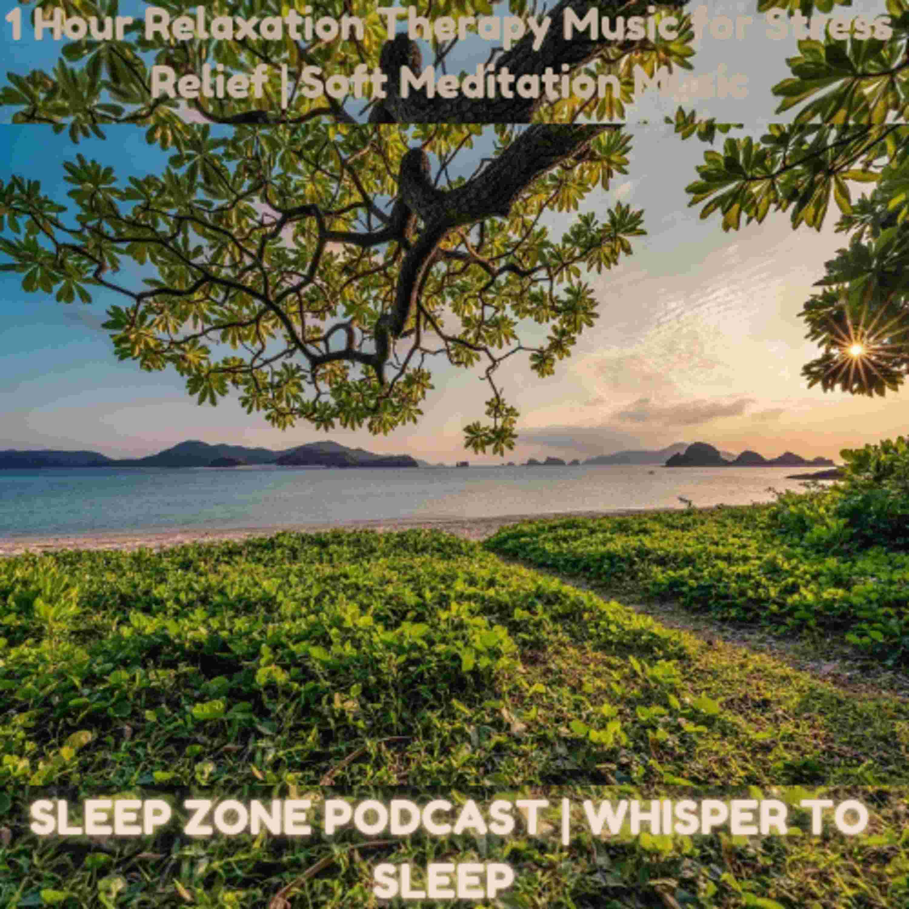 https://media.rss.com/sleep-zone-podcast/cover_4265317ebb54da2e38de2e5d4f5310a2.jpg