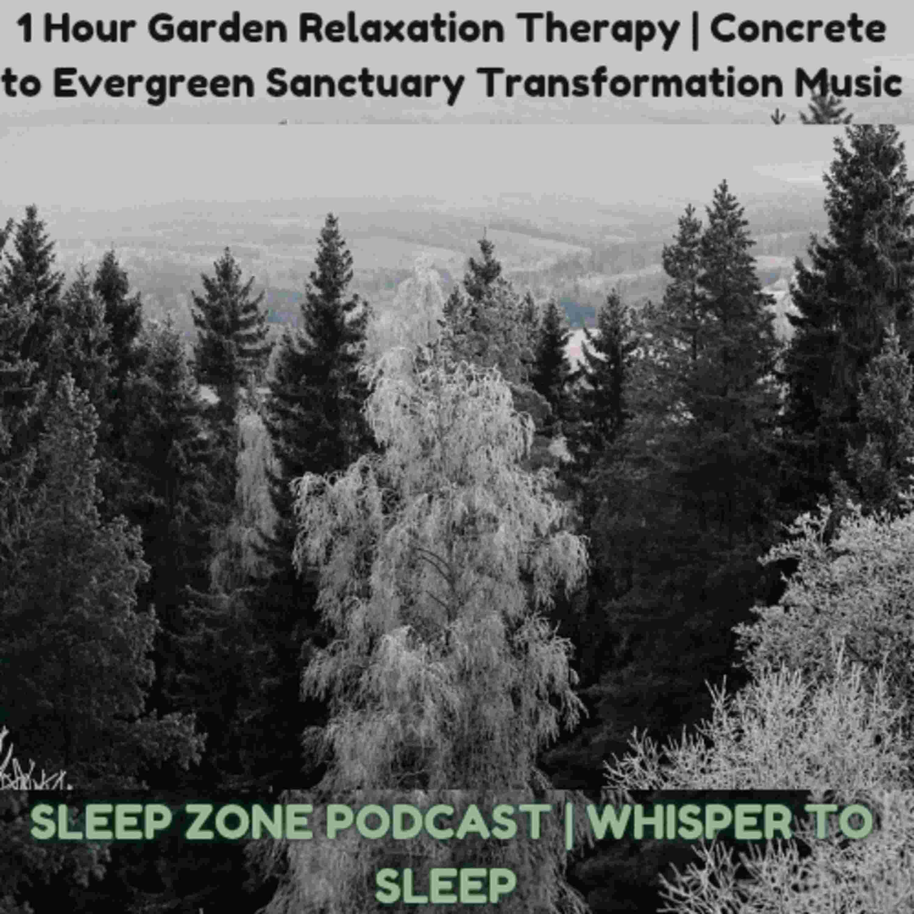 https://media.rss.com/sleep-zone-podcast/cover_cc544c785941ce99d39161428ea859a4.jpg