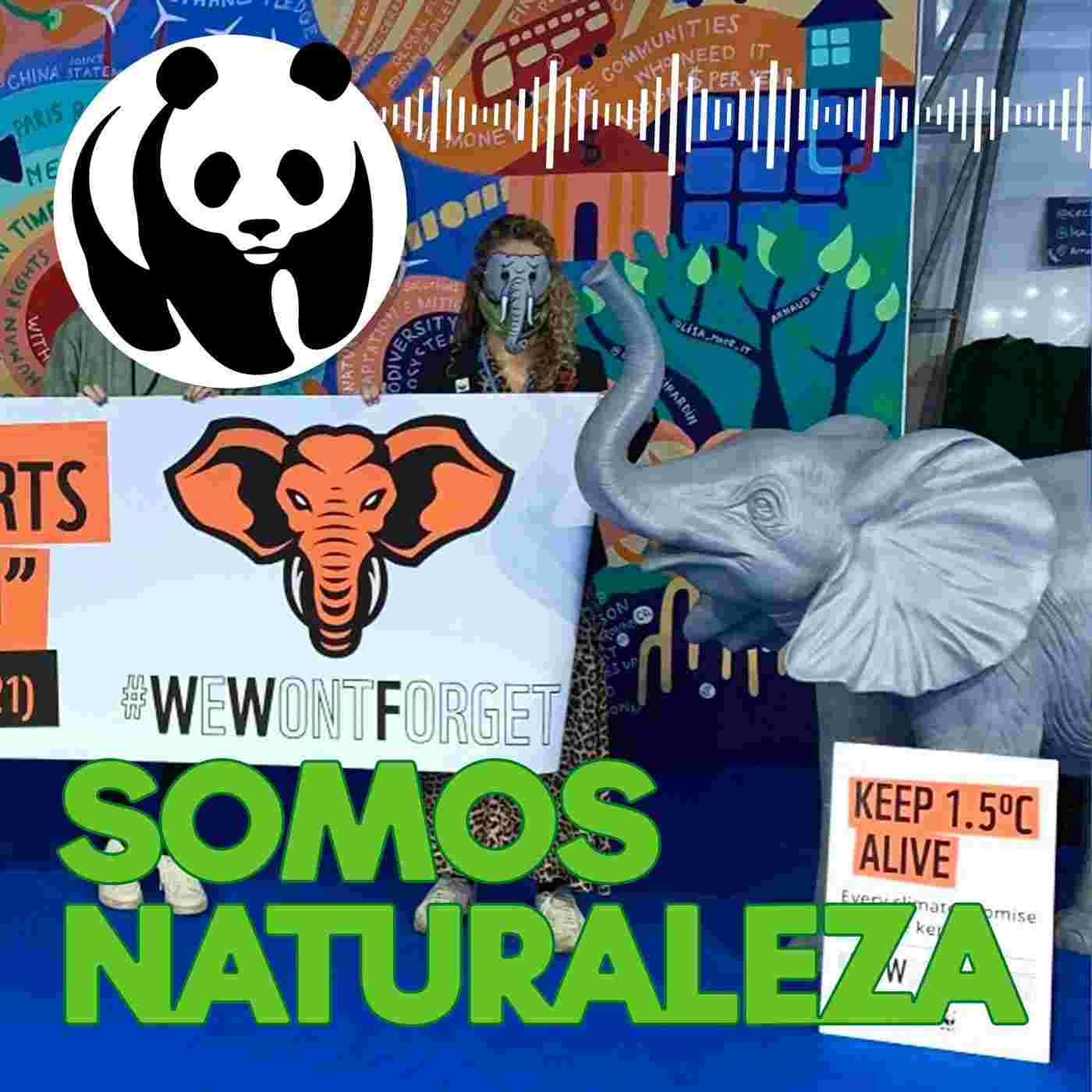 https://media.rss.com/somos-naturaleza/cover_2dc9e1a80a27fe34a09991a0d72e06f1.jpg