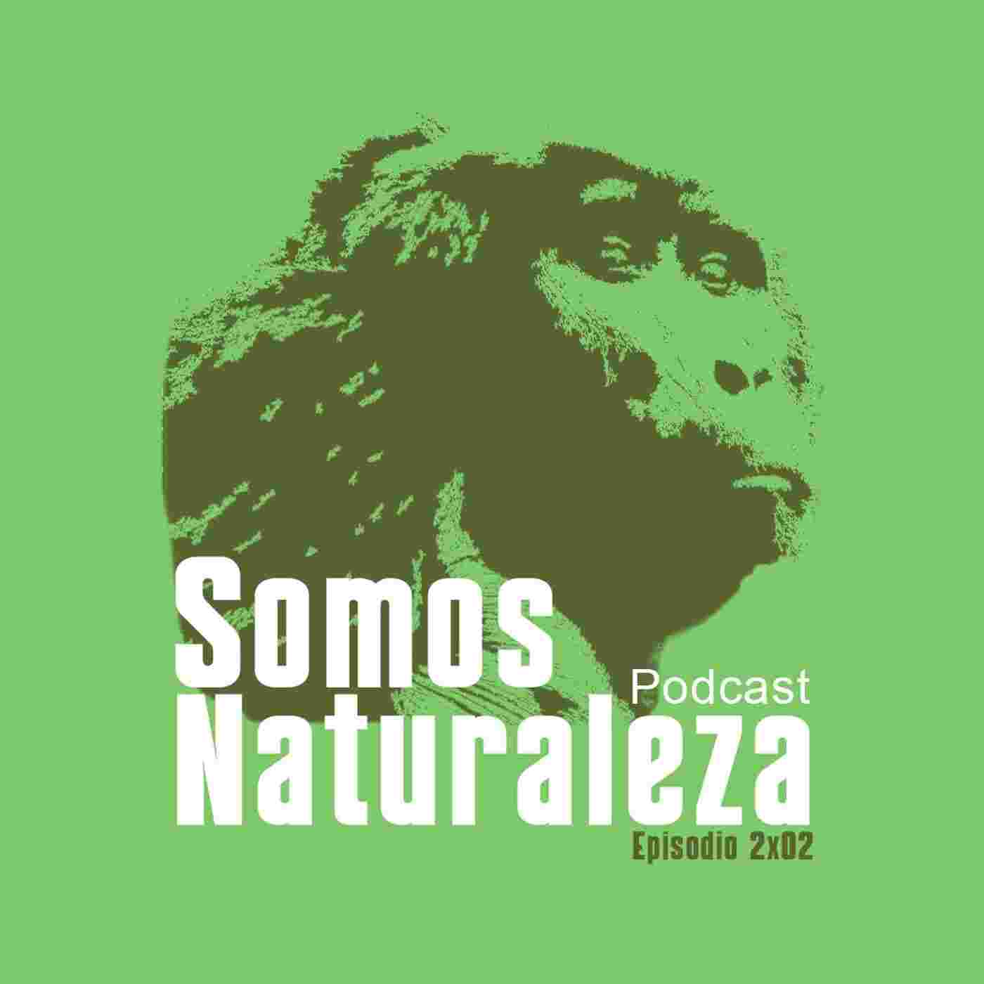 https://media.rss.com/somos-naturaleza/cover_81bd785bcbd61e3c68de1c12f54784f4.jpg