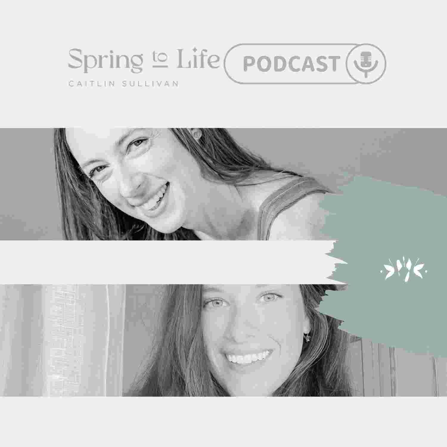 https://media.rss.com/springtolife/ep_cover_20240101_010111_3daa562f06ce8e90b03104d06a604db1.jpg