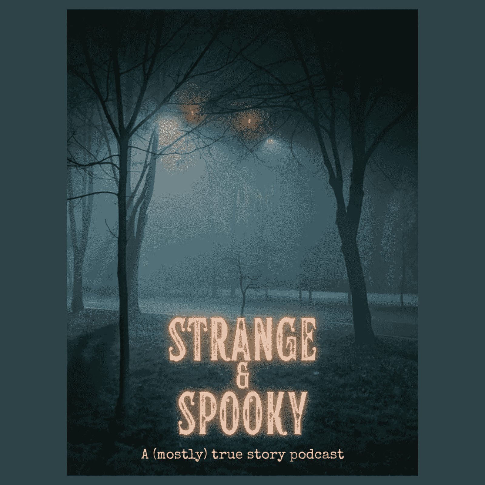 https://media.rss.com/strange-spooky/ep_cover_20250916_120925_9343b1552c578d661f87ffe8a9d54599.png