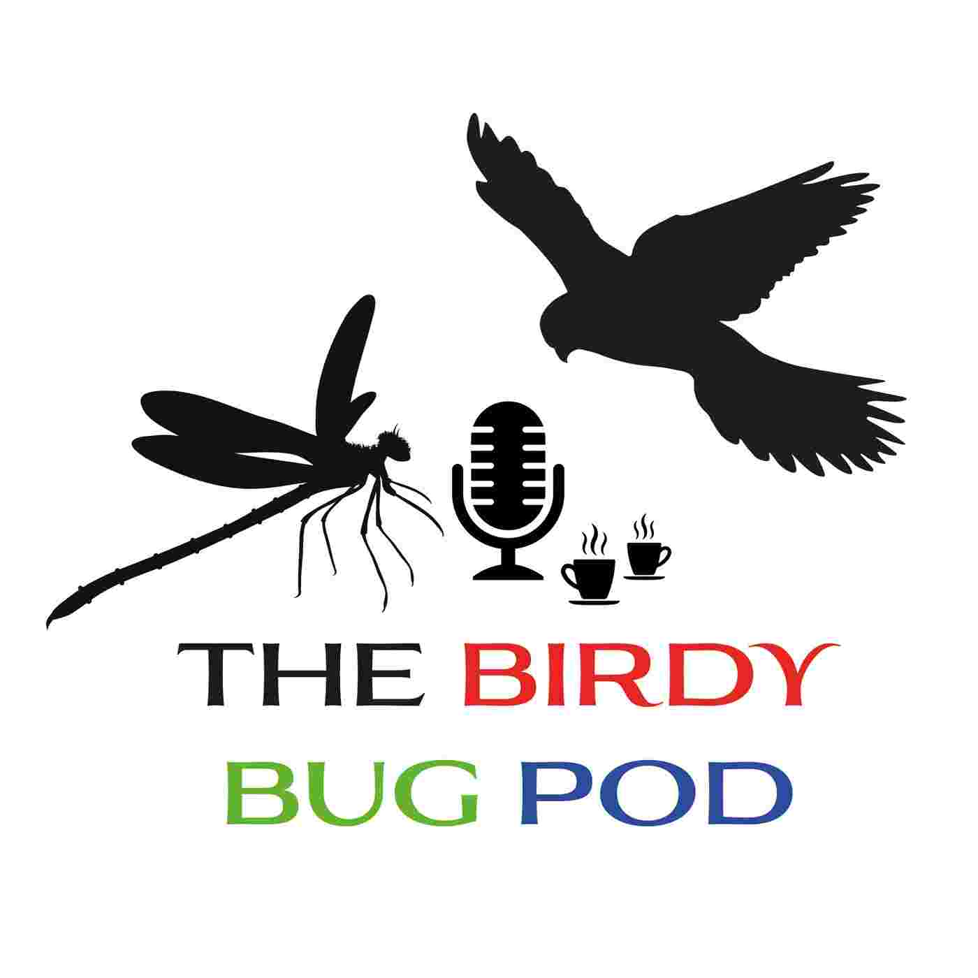 https://media.rss.com/thebirdybugpod/ep_cover_20250716_090707_293836d02f61aa32c47ffcaa60a06479.jpg