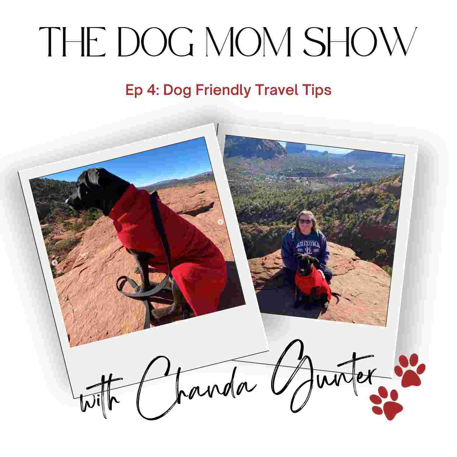 https://media.rss.com/thedogmomshow/ep_cover_20230315_050321_354d03a5f3900e3d010c48f043f7638a.jpg