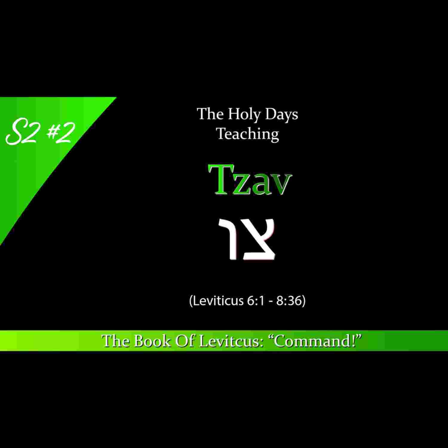 https://media.rss.com/theholydays/ep_cover_20230408_080445_1e4aace44d38d621d0da02821c6d6dd4.jpg