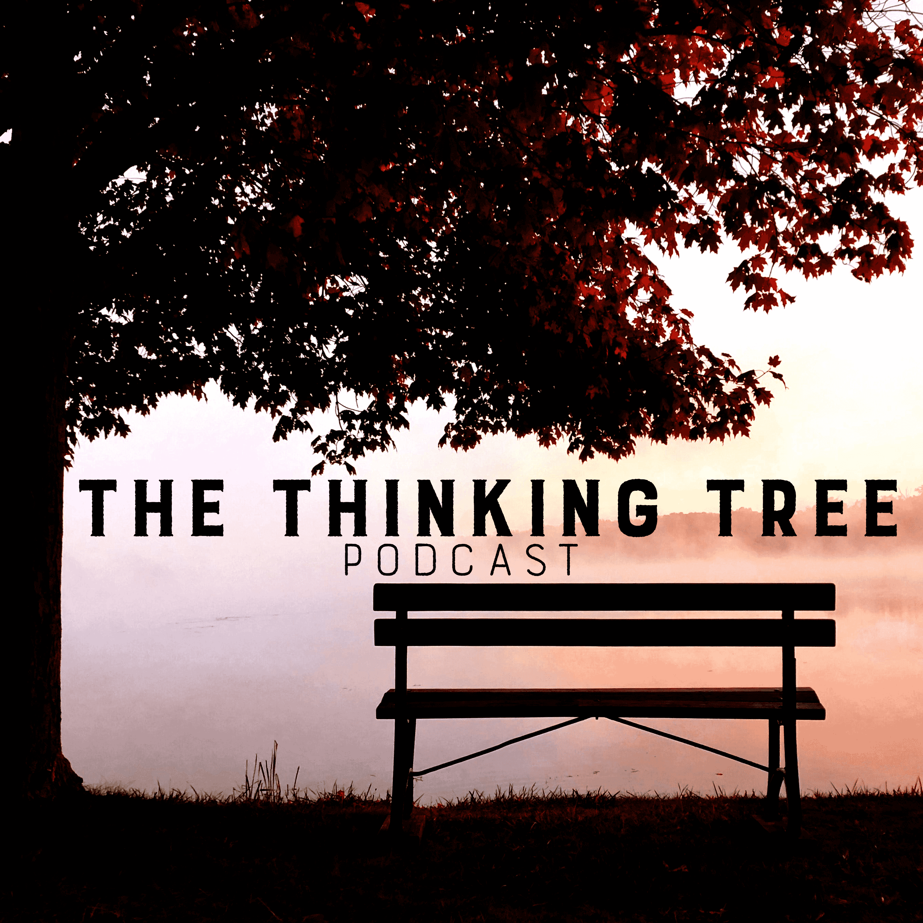 https://media.rss.com/thethinkingtree/ep_cover_20240509_070553_28afe877822632934e60444771780e23.png