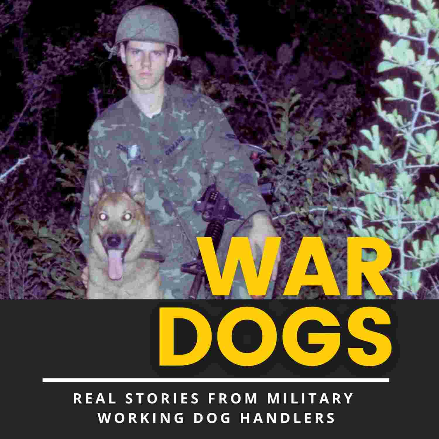 https://media.rss.com/wardogspodcast/ep_cover_20230717_010740_cc4ae6d9f77471c7175c0f9cbe556192.jpg