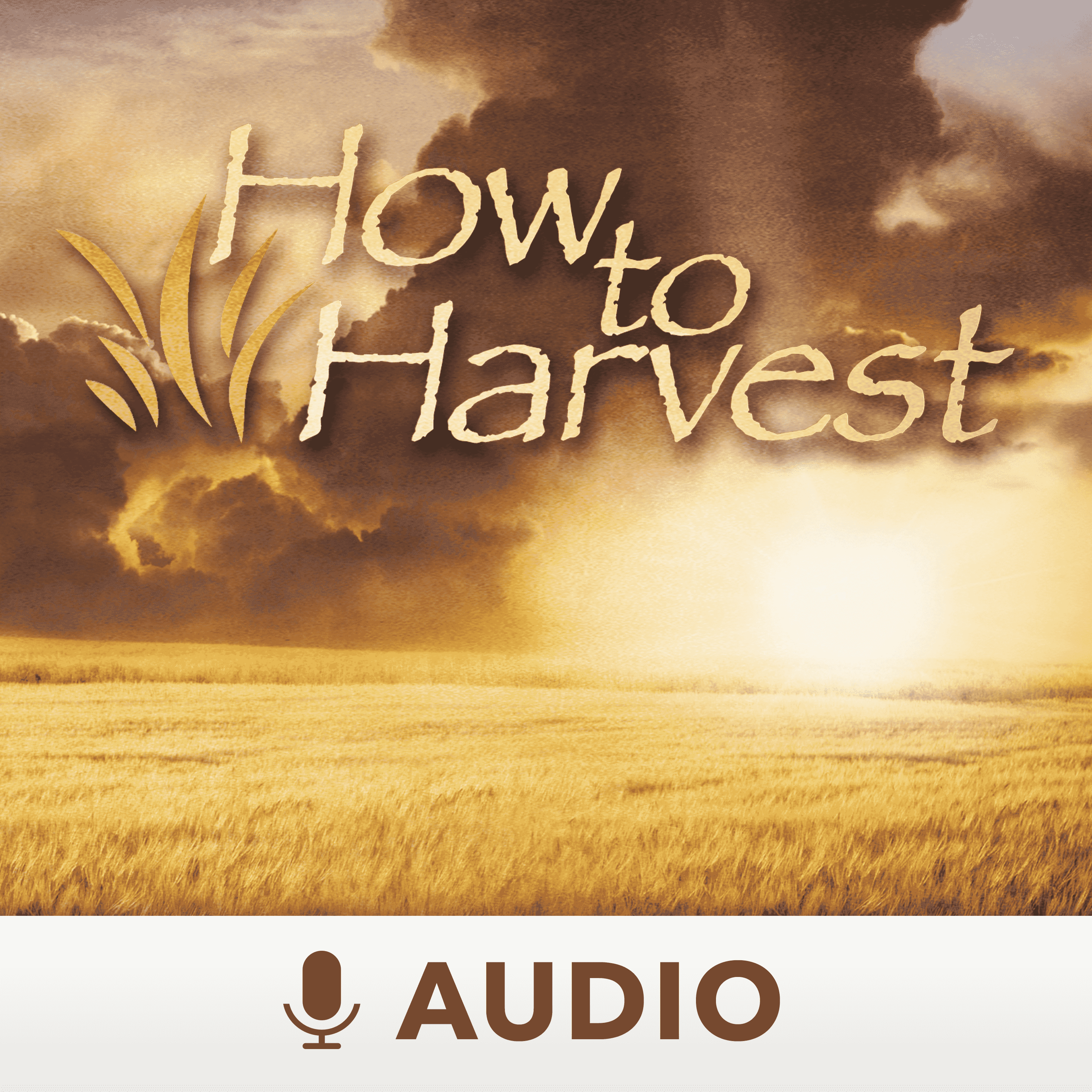 https://mlm-podcasts.nyc3.digitaloceanspaces.com/img/podcasts/series/HowToHarvestAudio.png