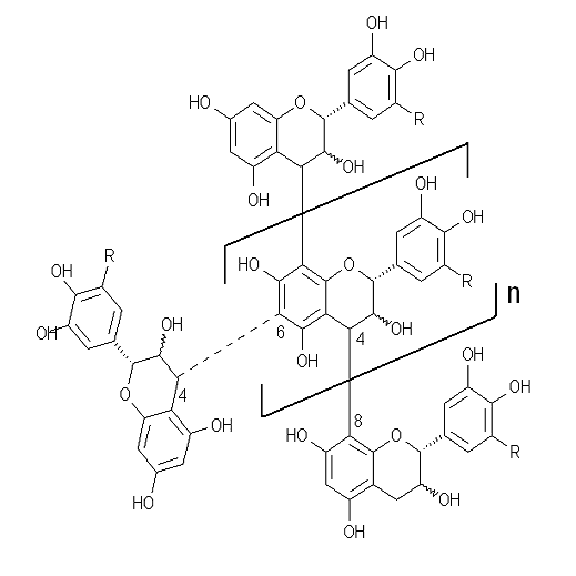 https://molekylerikoppen.dk/wp-content/uploads/2022/12/Schematic_condensed_tannins.png