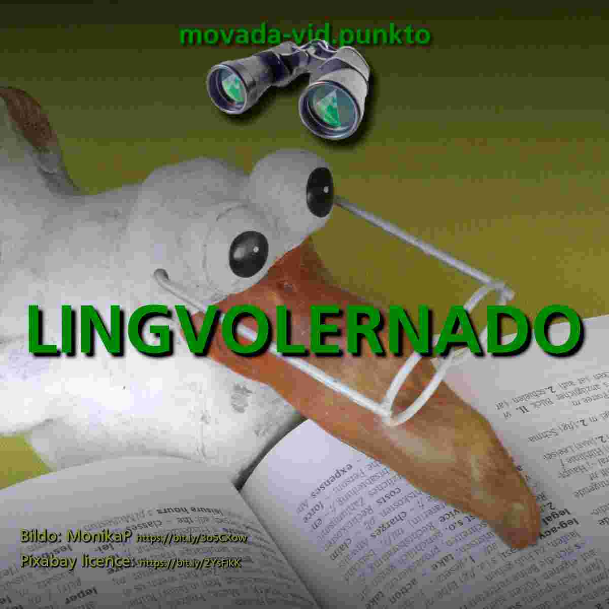 https://movada-vid.punkto.info/bildoj/mvp024-lingvolernado.jpg