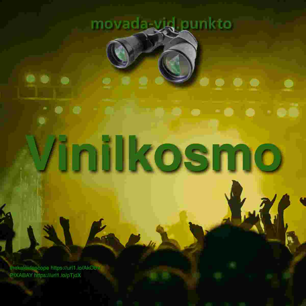 https://movada-vid.punkto.info/bildoj/mvp027-vinilkosmo.jpg