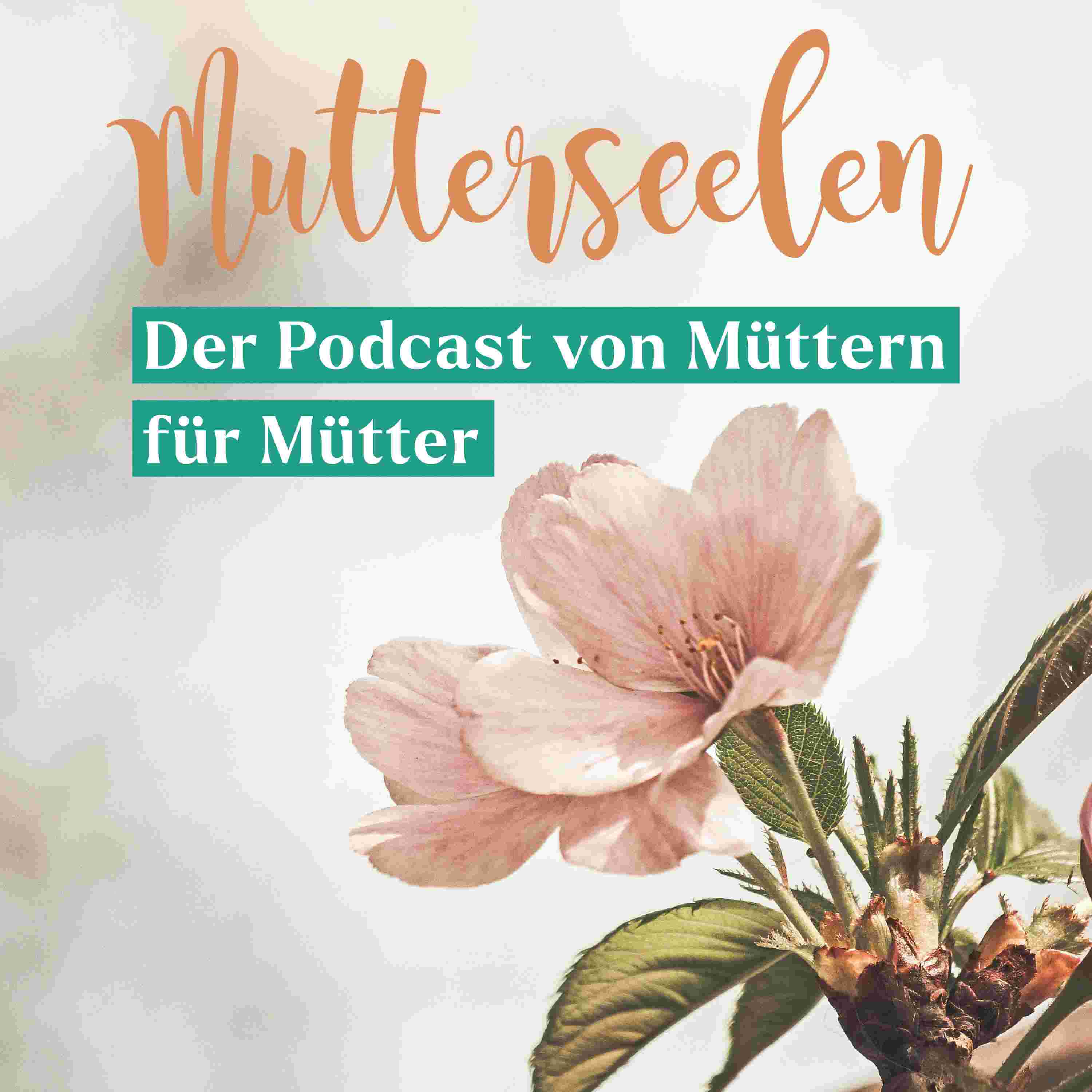 https://mutterseelen.de/wp-content/uploads/2025/05/mutterseelen_cover.jpg