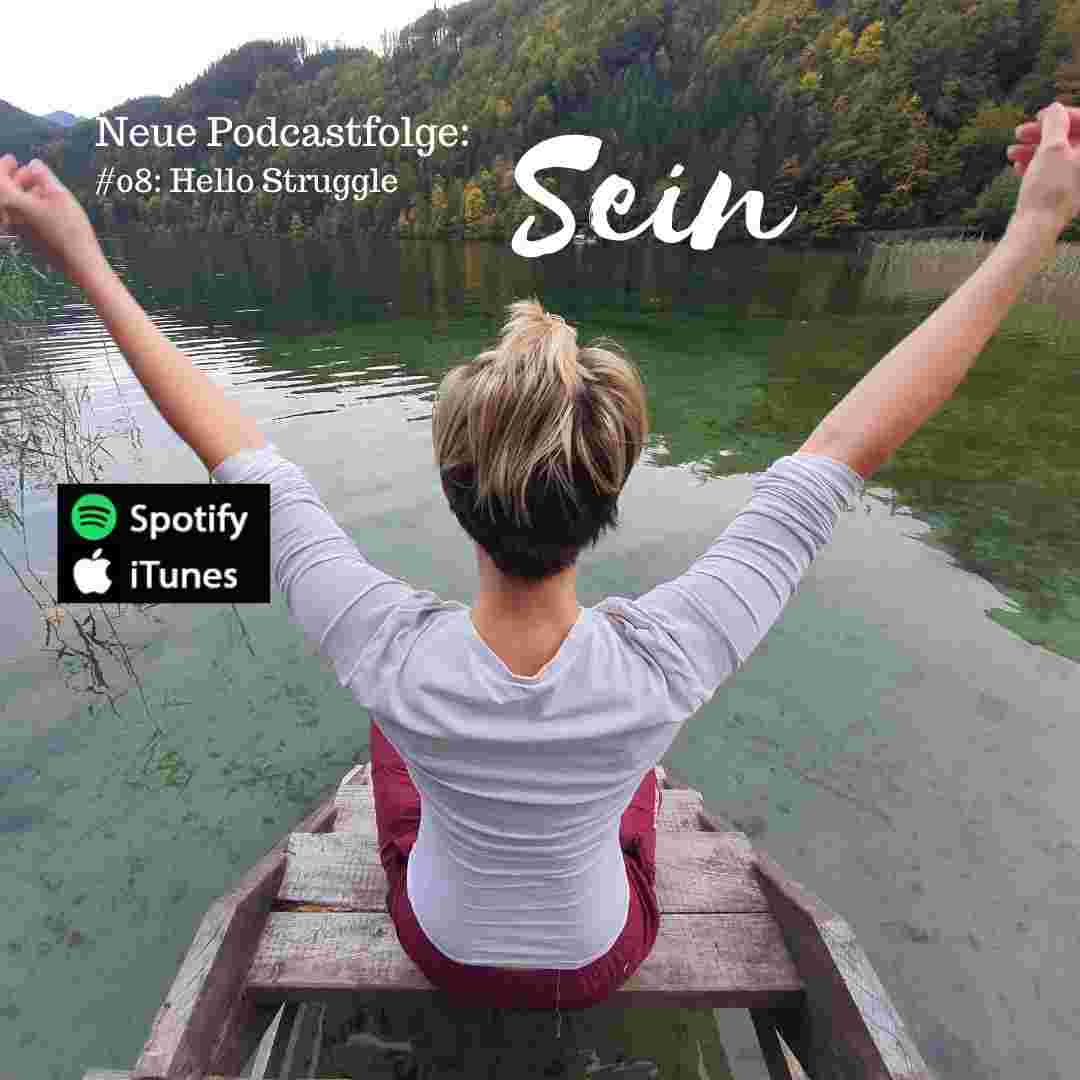 https://ngdifk.podcaster.de/sein/logos/Hello_Struggle.jpg