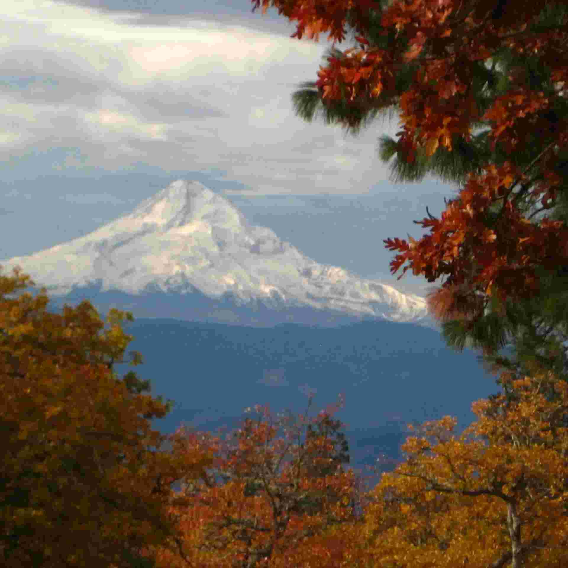 https://northwestwoodworking.com/wp-content/uploads/2025/11/Mt.-Hood-Fall-2-sq.webp