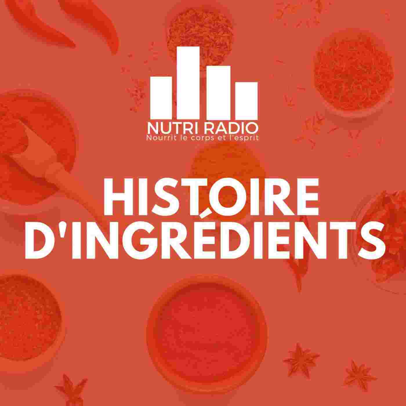 https://nutriradio.radio-site.com/upload/podcasts/photos/rss/63c27f1c6bb095.10842880.jpg