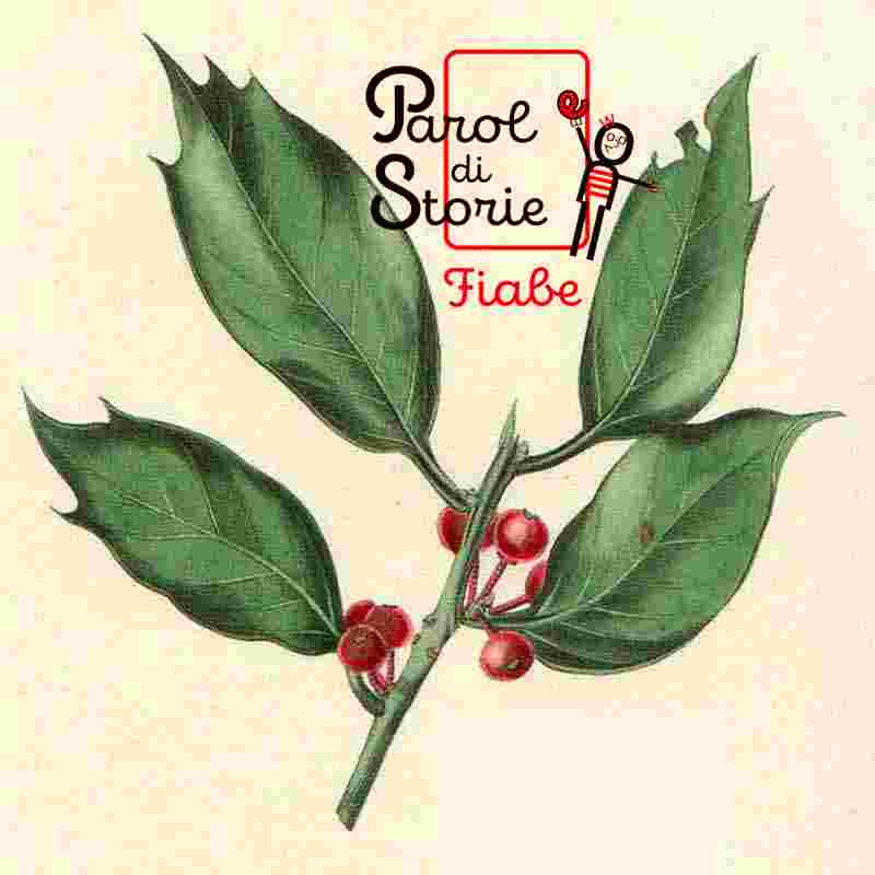 https://paroledistorie.net/wp-content/uploads/2025/12/agrifoglio-mistero-800.jpg