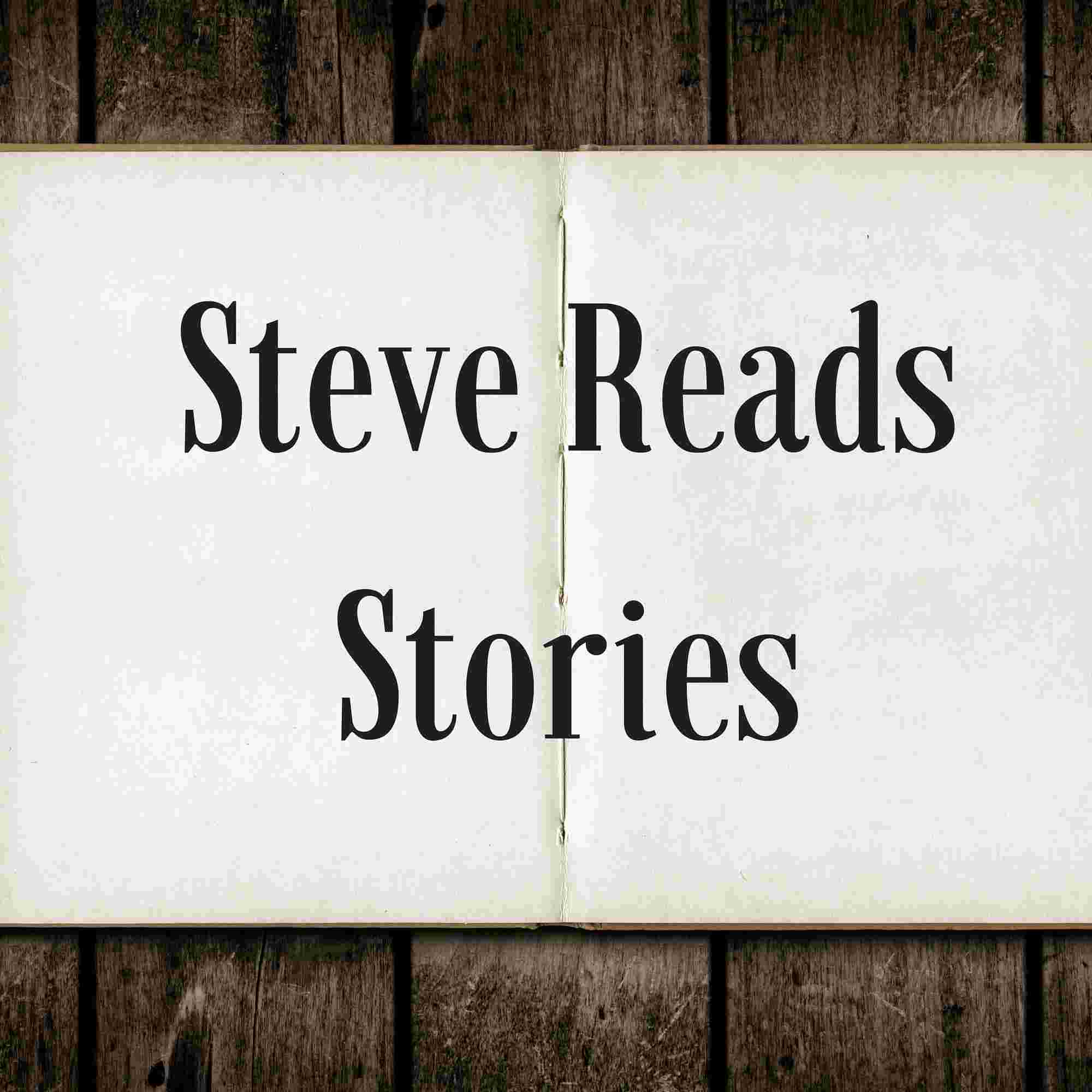 https://pbcdn1.podbean.com/imglogo/ep-logo/pbblog1003507/stevereadsstoriesmin2.jpg