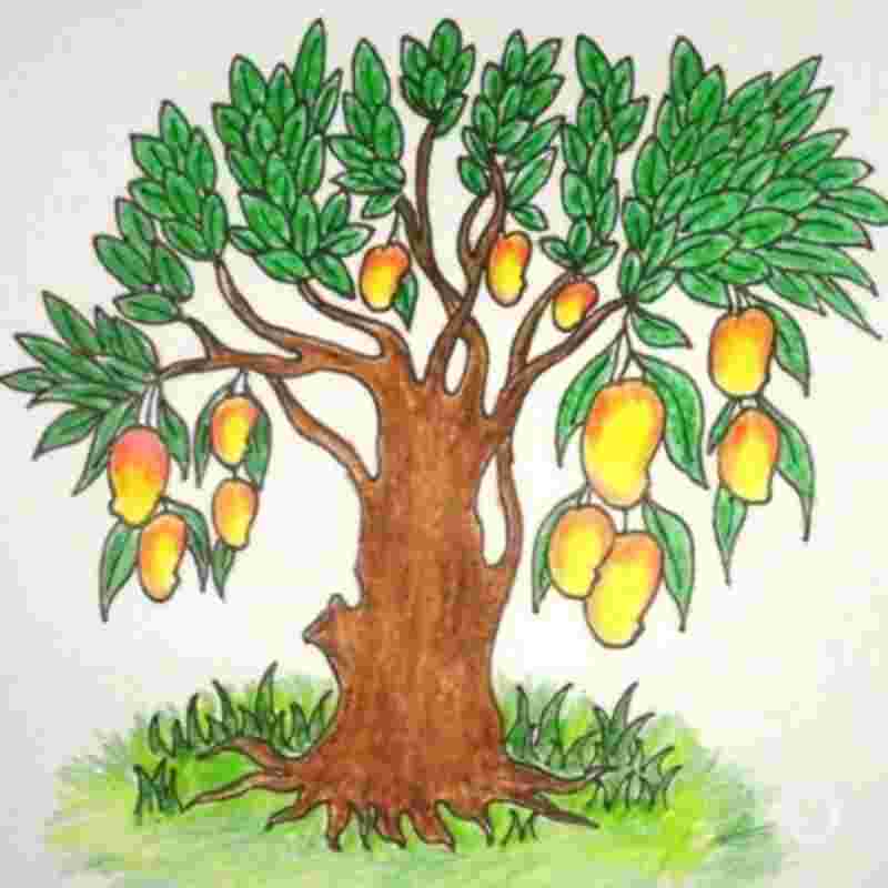 https://pbcdn1.podbean.com/imglogo/ep-logo/pbblog11112024/mango-tree-drawing-54_b22nsa.jpeg