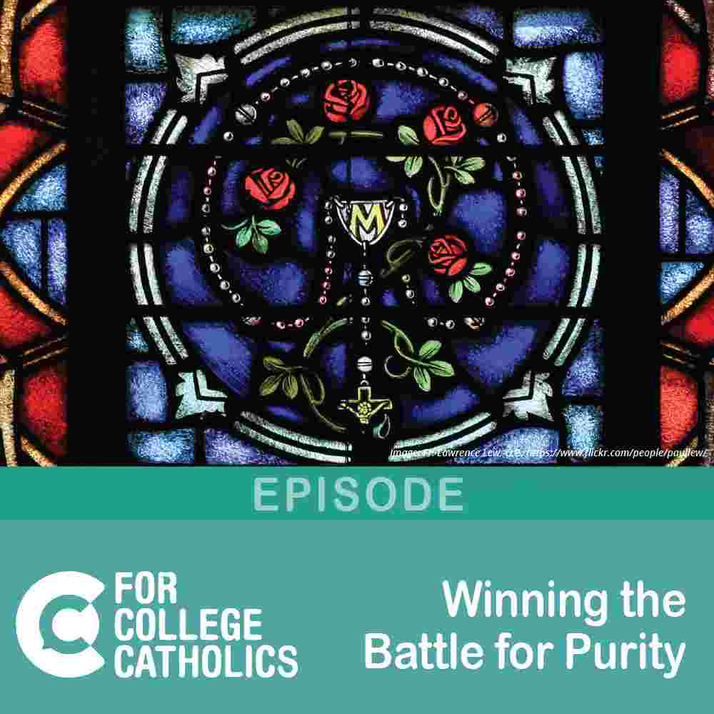 https://pbcdn1.podbean.com/imglogo/ep-logo/pbblog11392812/FCCEp189-HowtoWintheBattleforPurity.jpg