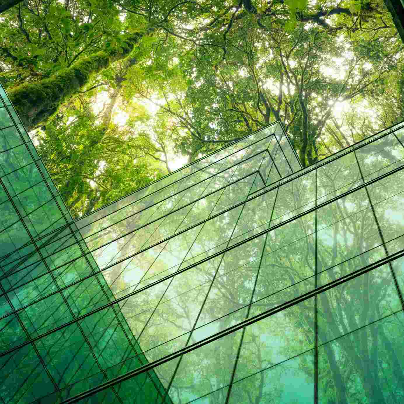https://pbcdn1.podbean.com/imglogo/ep-logo/pbblog14135363/greenery-over-glass-building_wyjg9j.jpeg