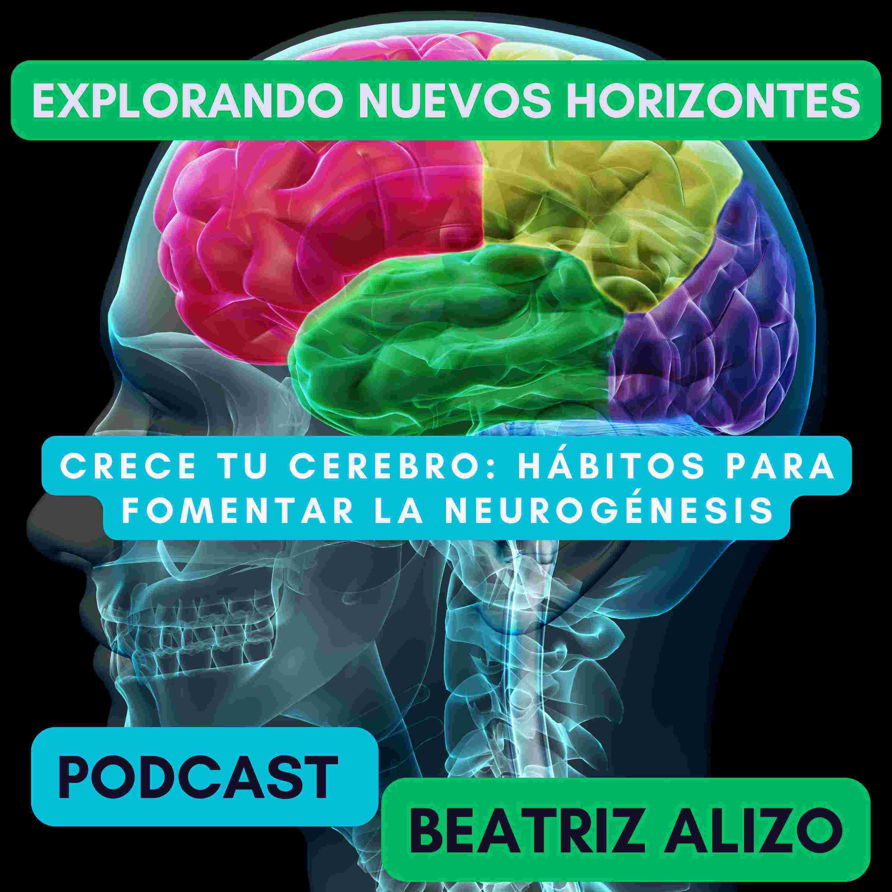 https://pbcdn1.podbean.com/imglogo/ep-logo/pbblog14256339/Explorando_Nuevos_Horizontes_3_6j5iq.jpg
