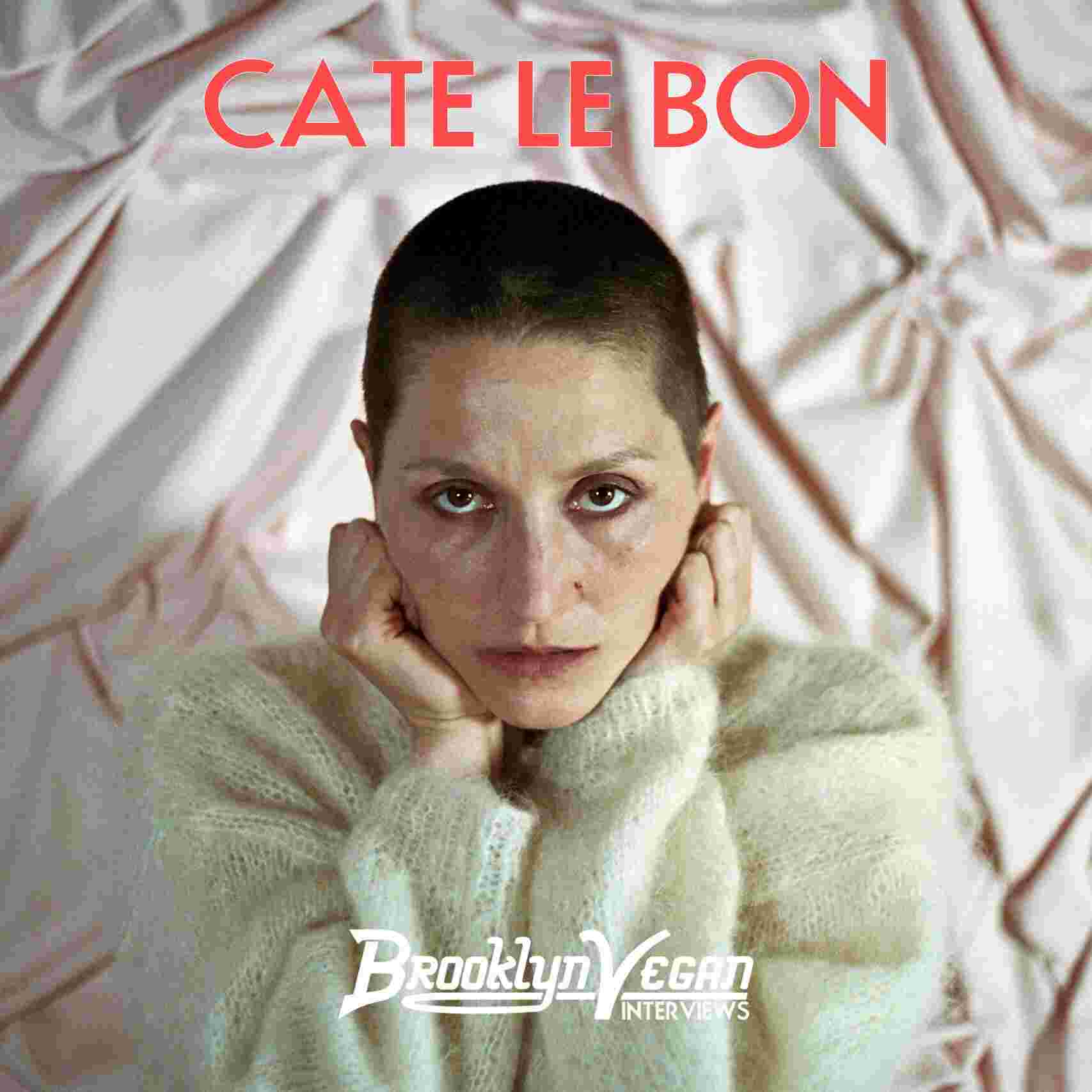 https://pbcdn1.podbean.com/imglogo/ep-logo/pbblog14419776/cate-le-bon-pod-cover.jpg
