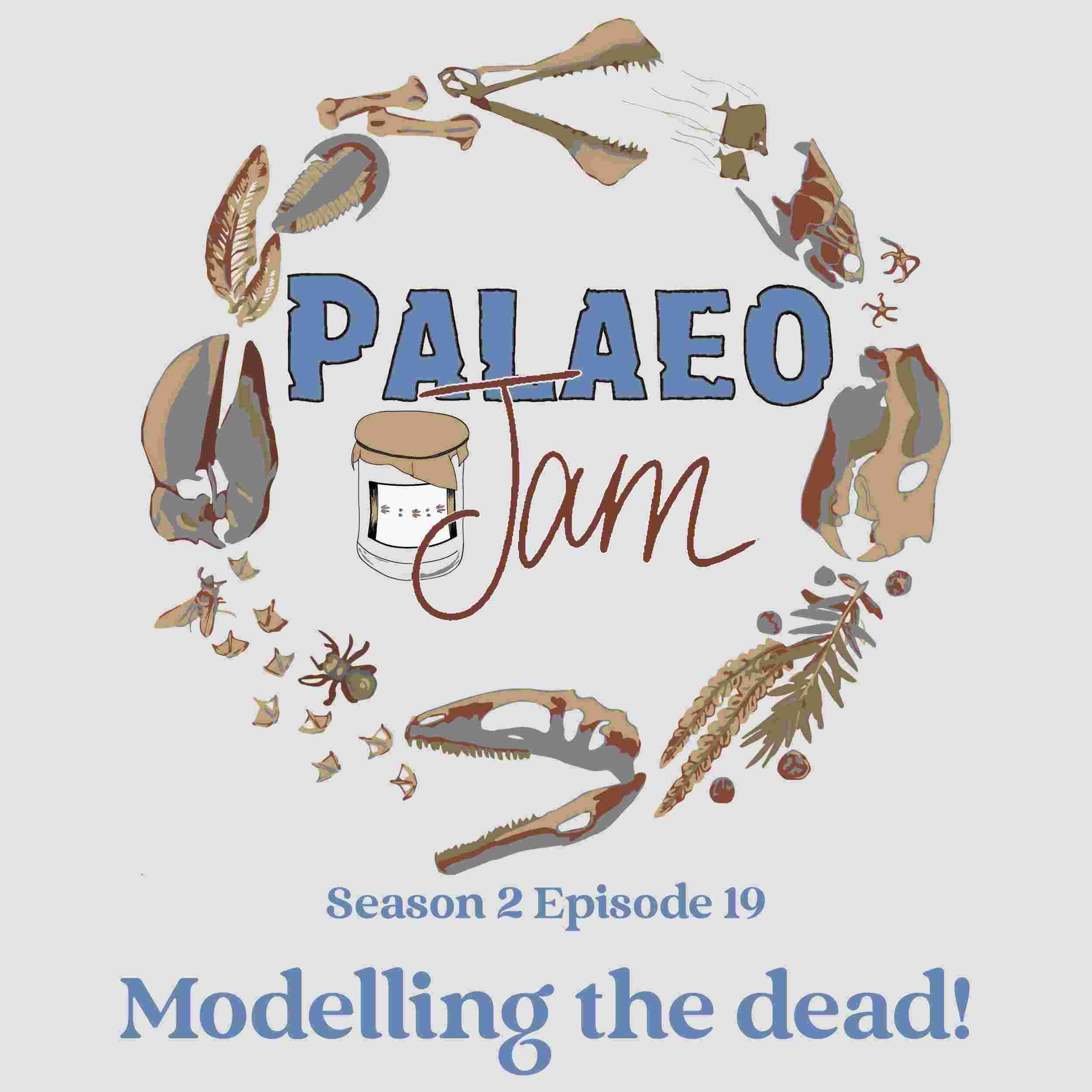 https://pbcdn1.podbean.com/imglogo/ep-logo/pbblog14892432/PalaeoJamS2E19_fsa4jz.jpg