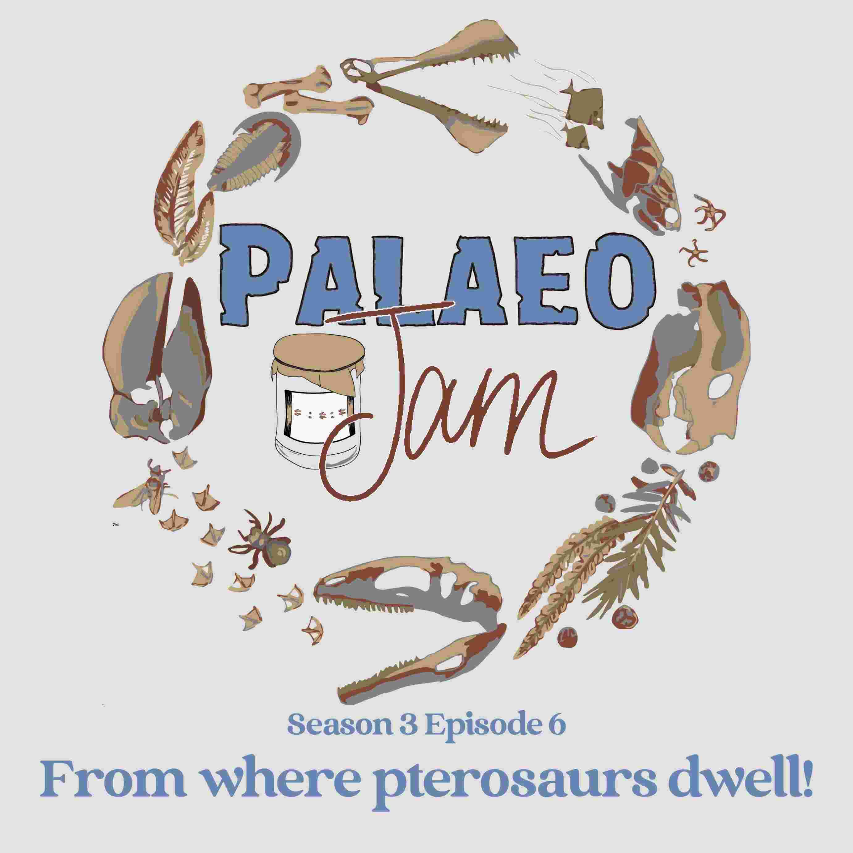 https://pbcdn1.podbean.com/imglogo/ep-logo/pbblog14892432/PalaeoJam_Season_3_Ep_6_t2a5vg.jpg