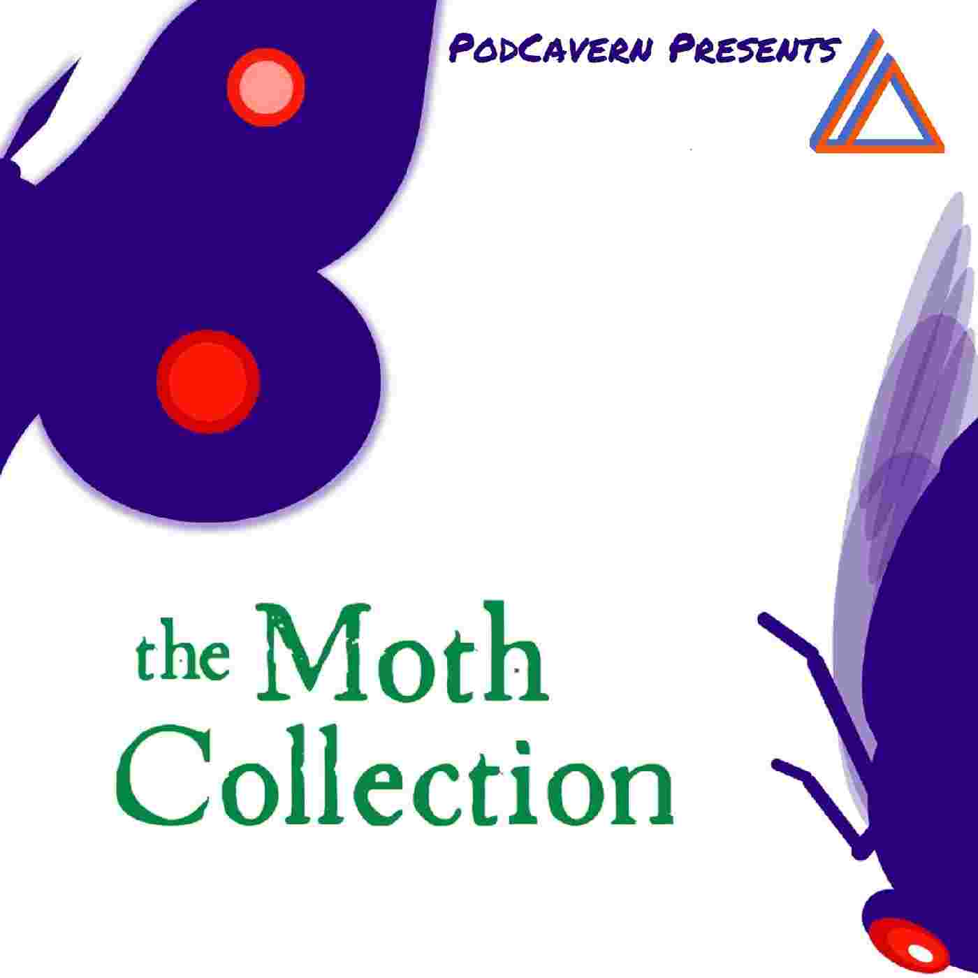https://pbcdn1.podbean.com/imglogo/ep-logo/pbblog15940456/The_Moth_Collection_1400x1400_s4gj57.jpg