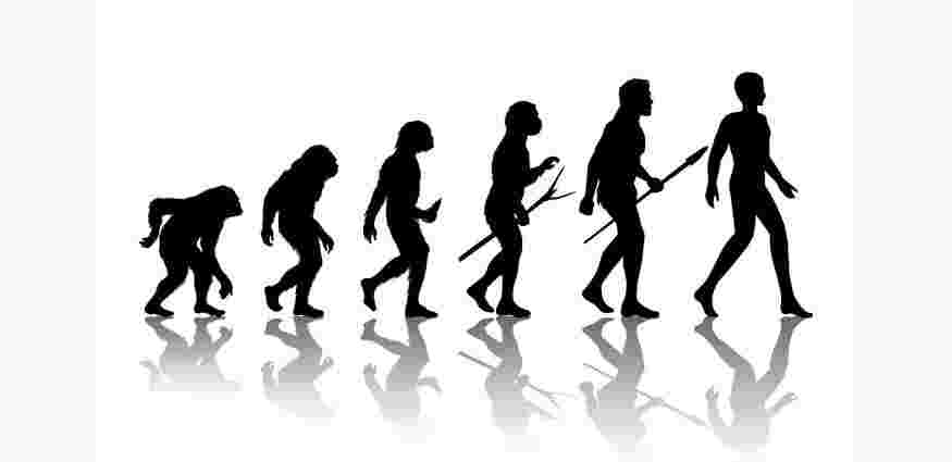 https://pbcdn1.podbean.com/imglogo/ep-logo/pbblog1594895/history-of-human-evolution-1.jpg