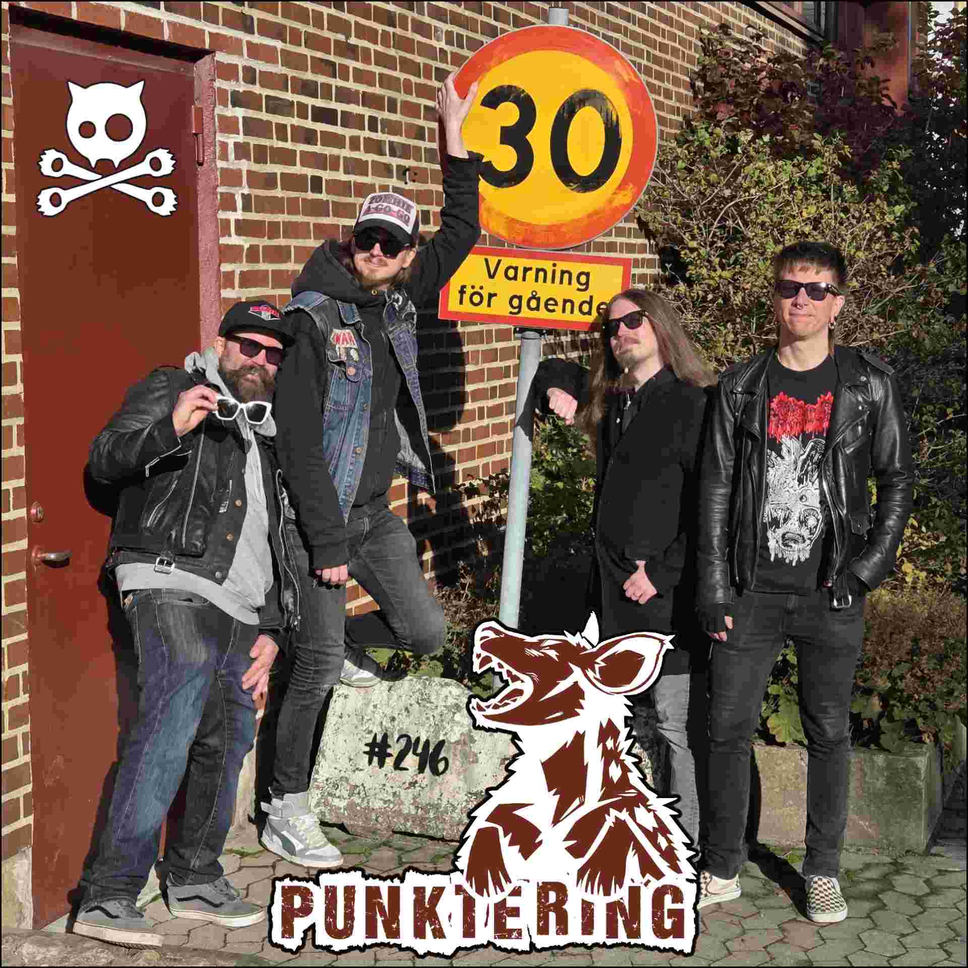 https://pbcdn1.podbean.com/imglogo/ep-logo/pbblog1613932/246-Punktering.jpg