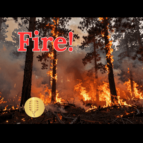 https://pbcdn1.podbean.com/imglogo/ep-logo/pbblog16232932/Fire_500_x_500_px_8f7lq.png