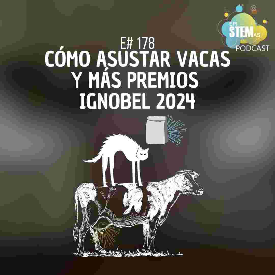 https://pbcdn1.podbean.com/imglogo/ep-logo/pbblog16491800/Portada_IgNobel2024_sbpeu8.jpg