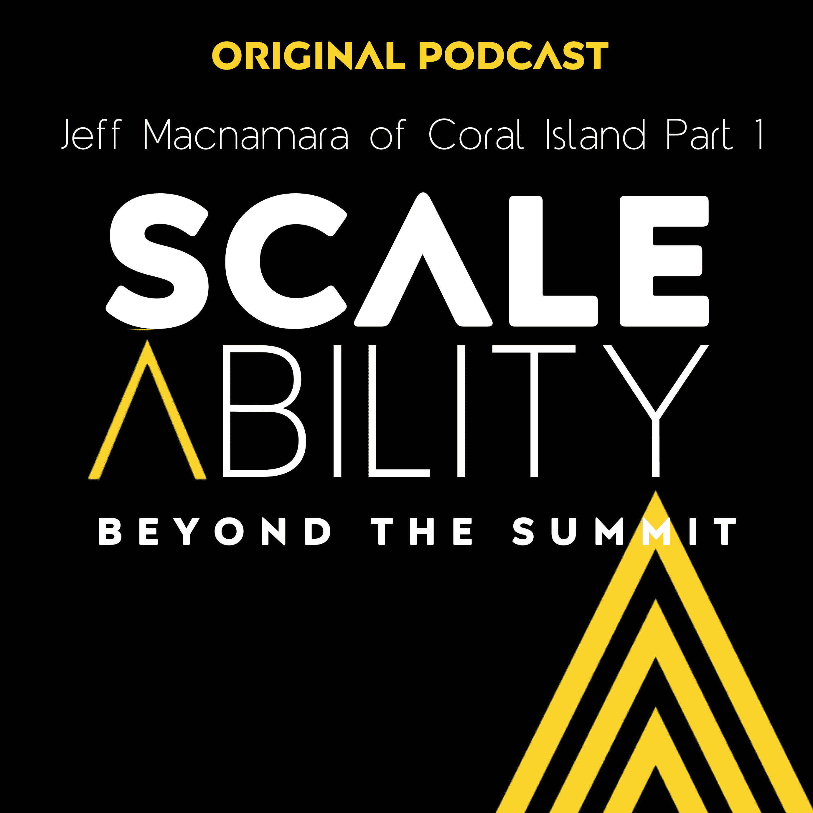 https://pbcdn1.podbean.com/imglogo/ep-logo/pbblog16496604/Copy_of_ScaleAbility_8te8ks.png