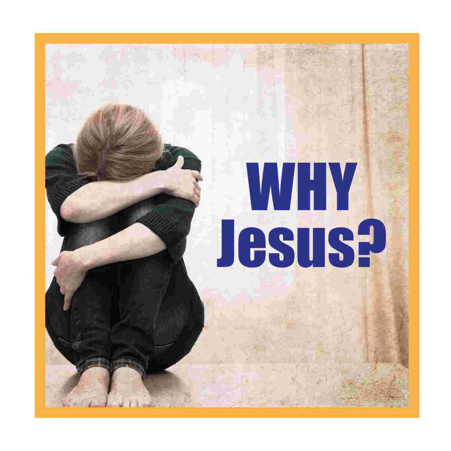 https://pbcdn1.podbean.com/imglogo/ep-logo/pbblog17060978/WhyJesus_image.jpg