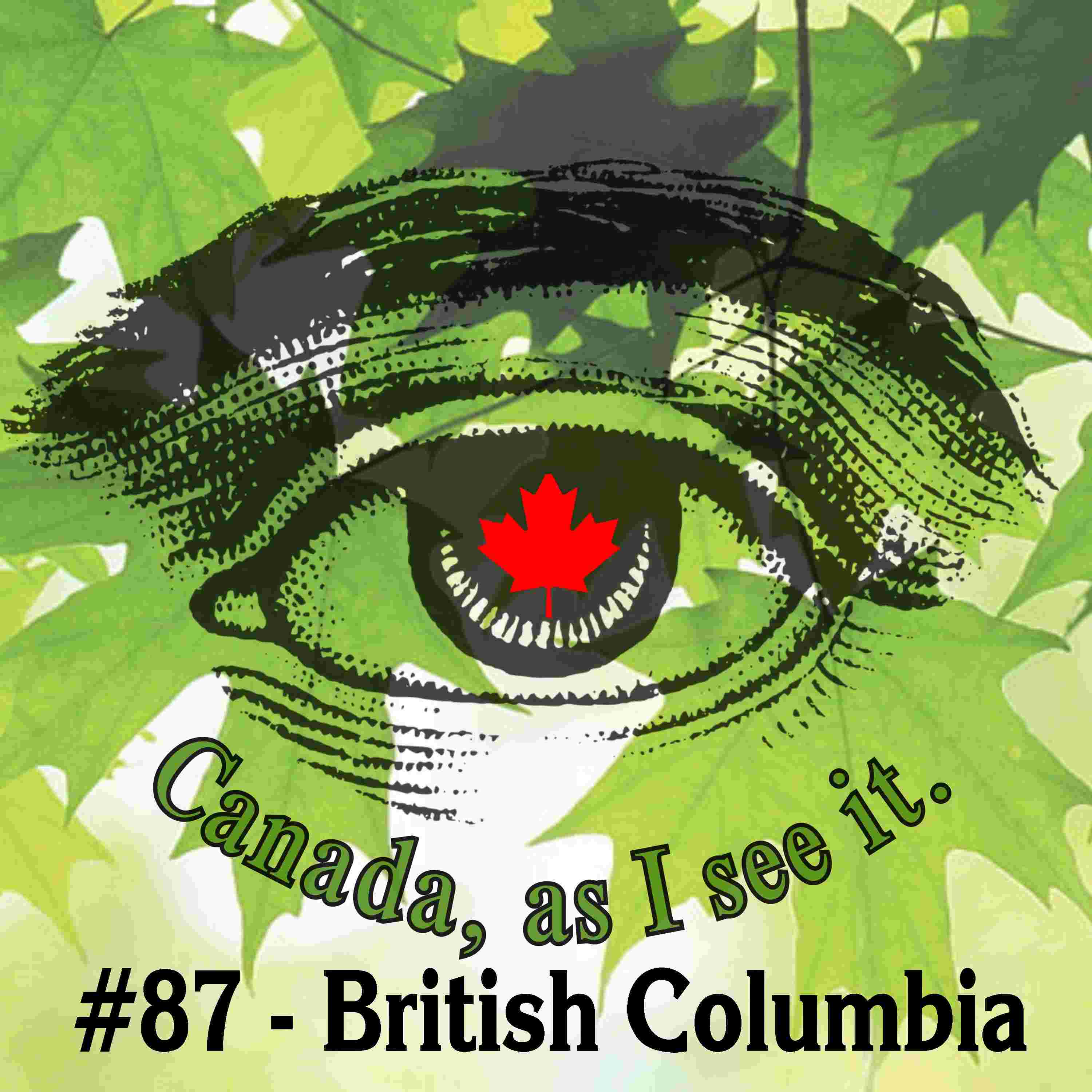 https://pbcdn1.podbean.com/imglogo/ep-logo/pbblog17421489/CanadaAsISeeIt87Logo.jpg