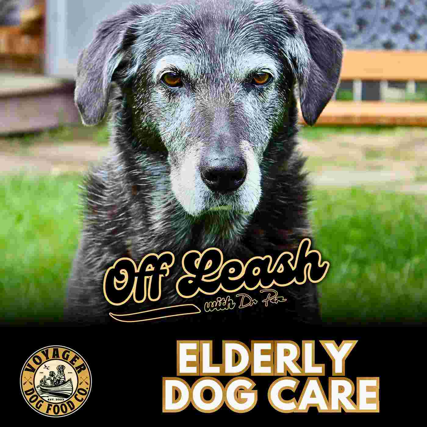 https://pbcdn1.podbean.com/imglogo/ep-logo/pbblog17776062/ELDERLY_2adukw.jpg
