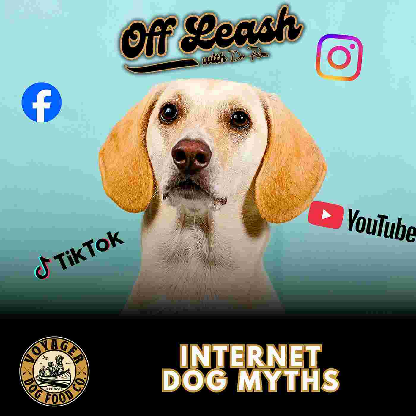 https://pbcdn1.podbean.com/imglogo/ep-logo/pbblog17776062/Off_Leash_267ggm.jpg