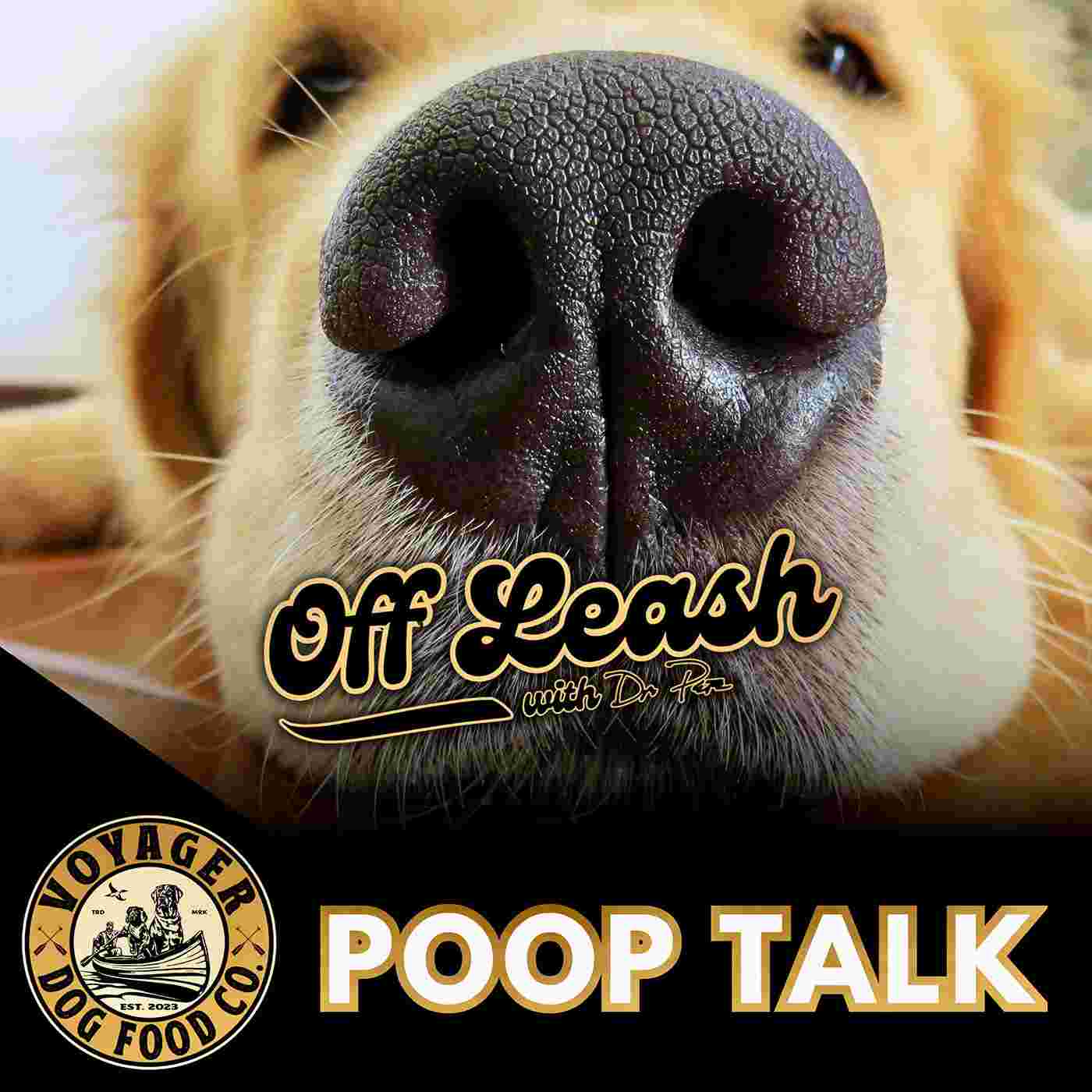 https://pbcdn1.podbean.com/imglogo/ep-logo/pbblog17776062/POOP_TALK_28pqr9.jpg