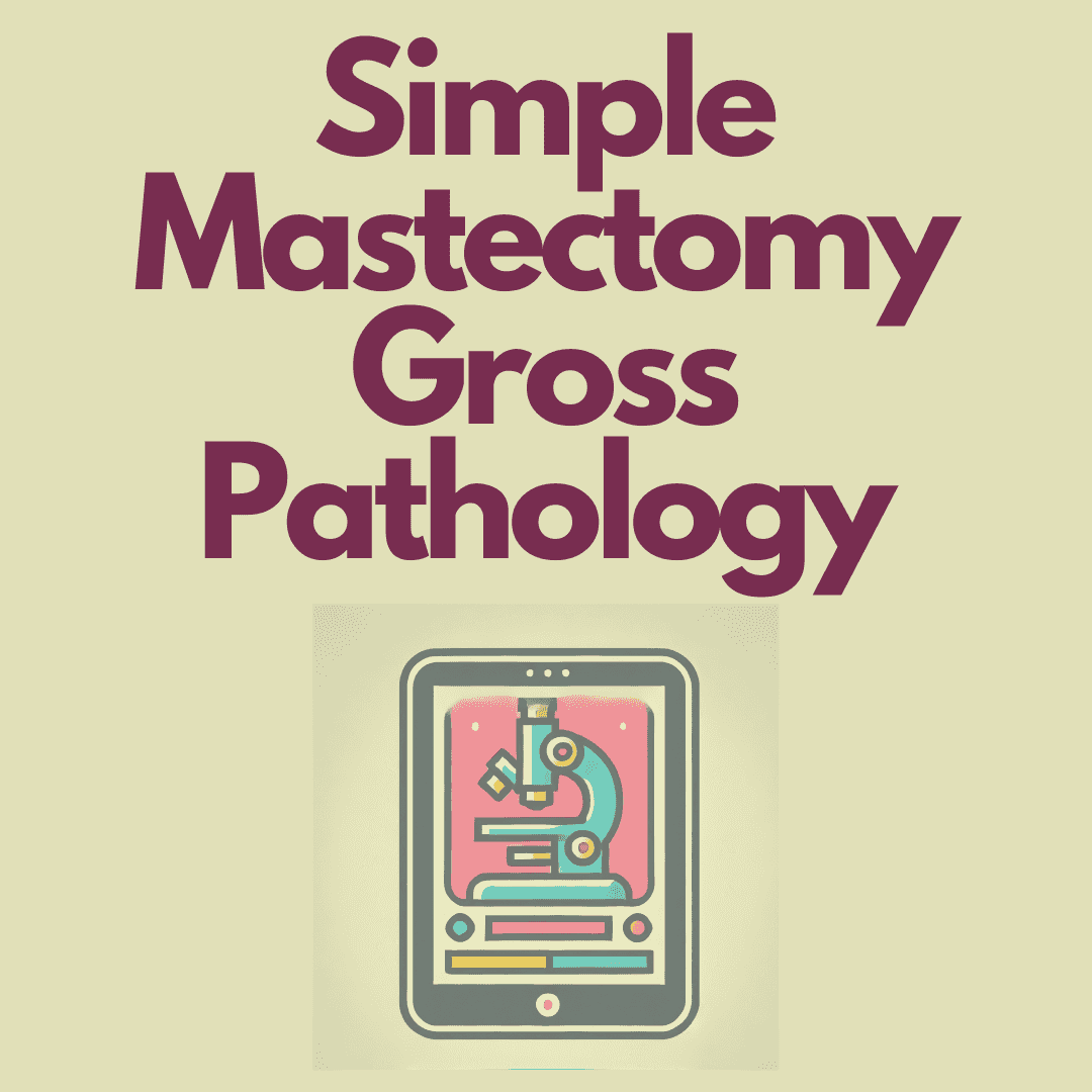 https://pbcdn1.podbean.com/imglogo/ep-logo/pbblog19984422/Simple_mastectomy_Pathologybp8io.png