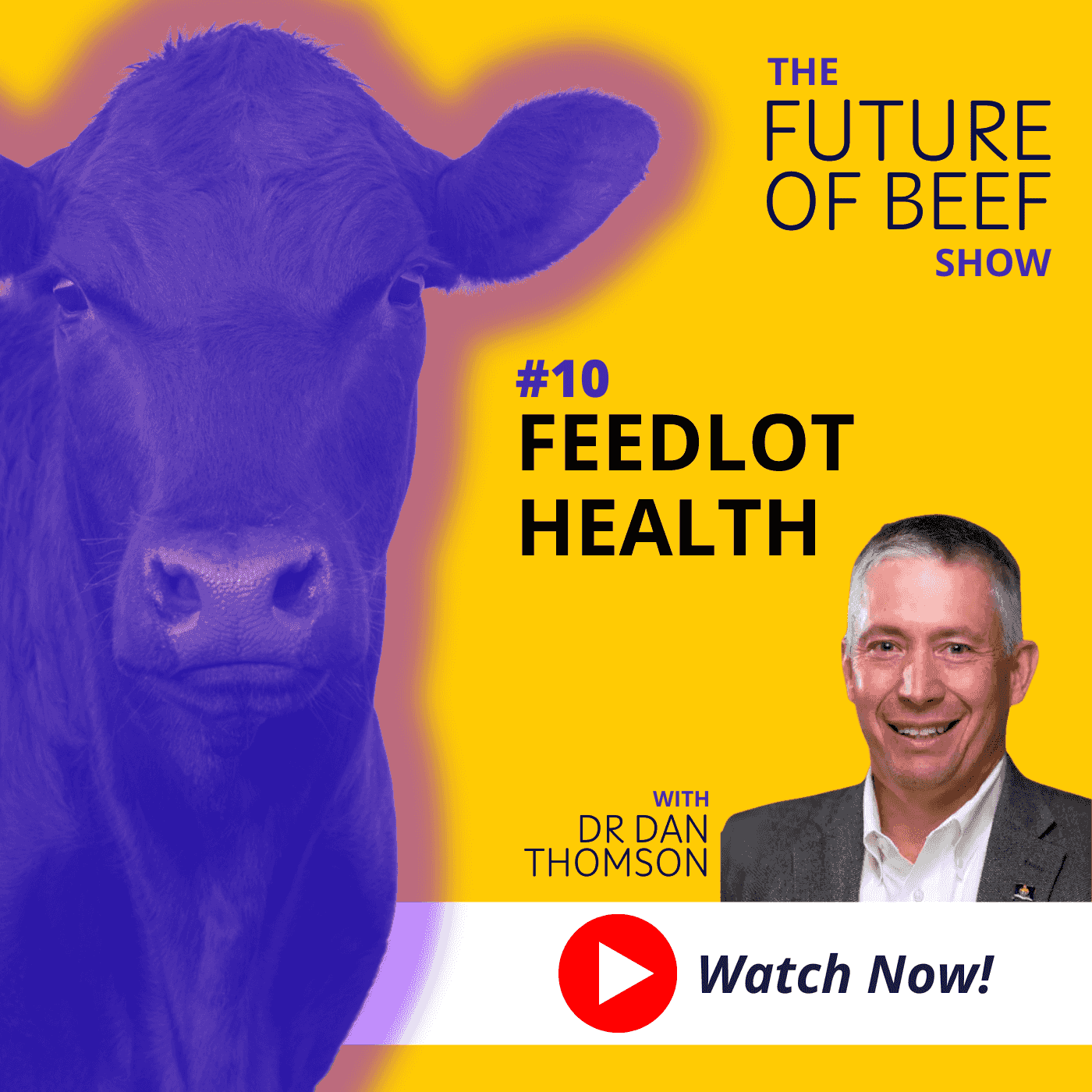 https://pbcdn1.podbean.com/imglogo/ep-logo/pbblog20171217/1_Feedlot_health_1400_x_1400_px_6w7eg.png
